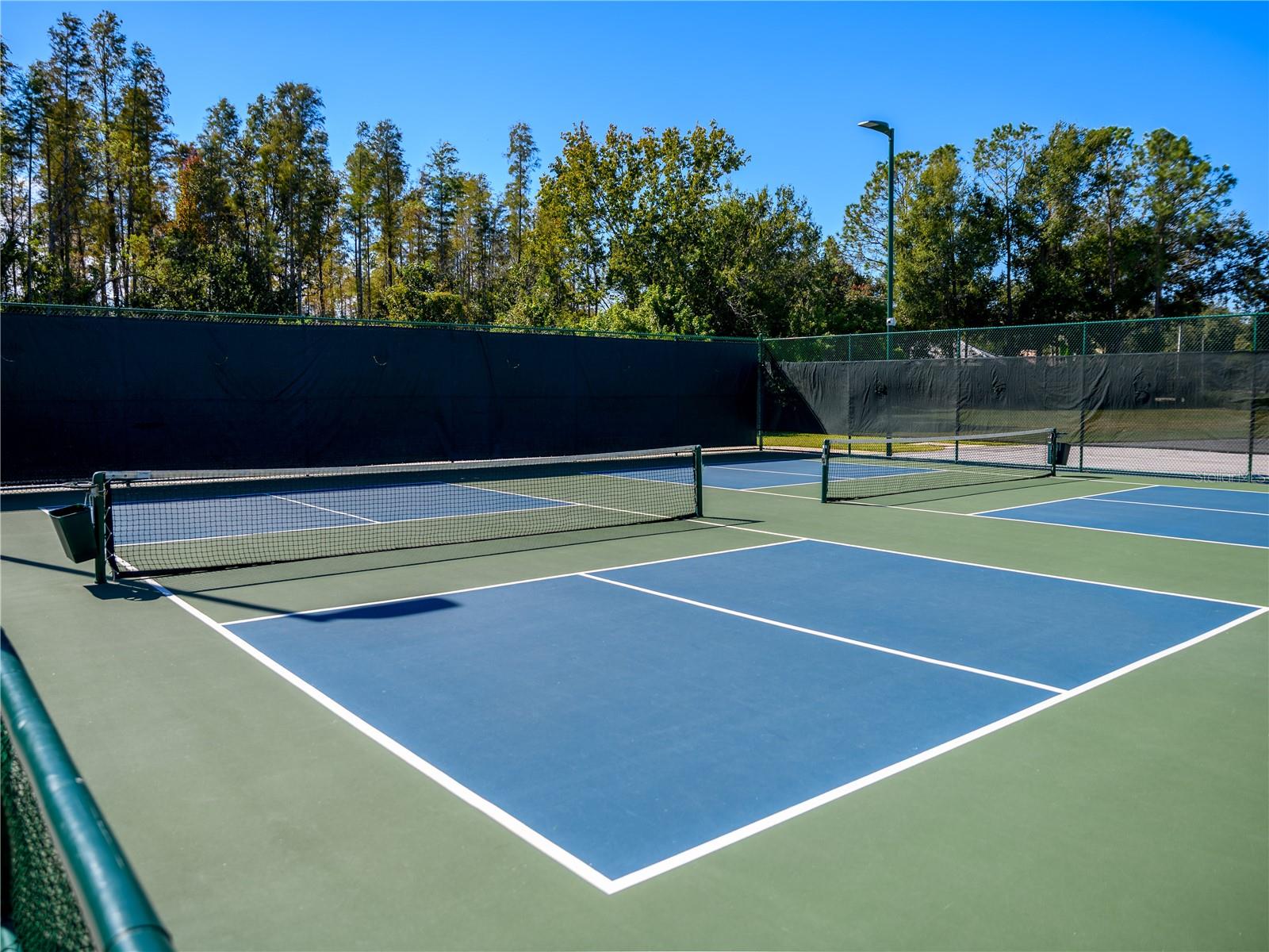 Image 84 of 100 For 10117 Whisper Pointe Drive