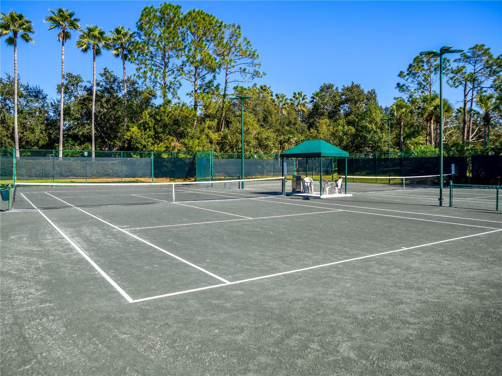 Image 85 of 100 For 10117 Whisper Pointe Drive