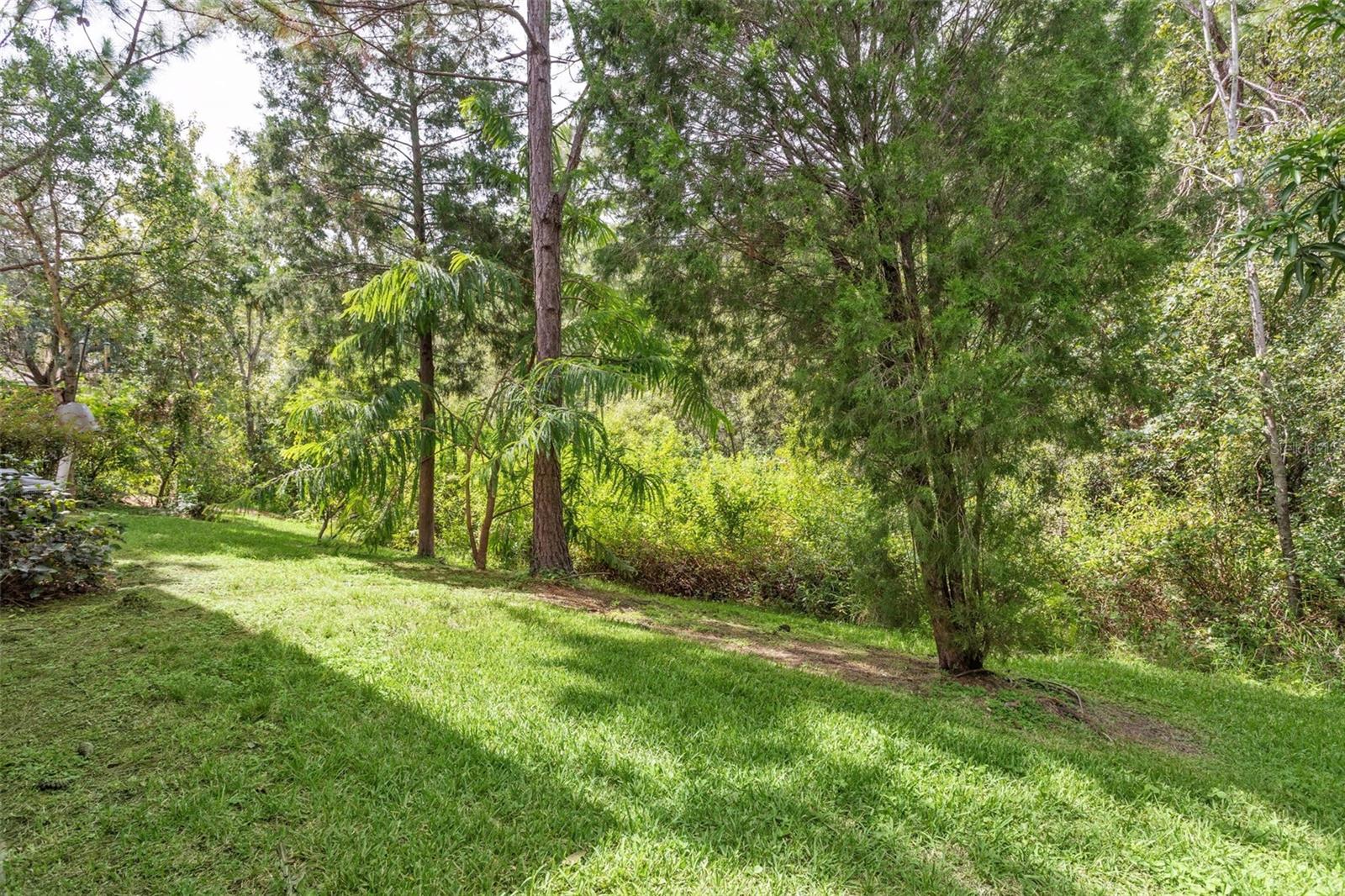 Image 25 of 25 For 16036 Bella Woods Drive