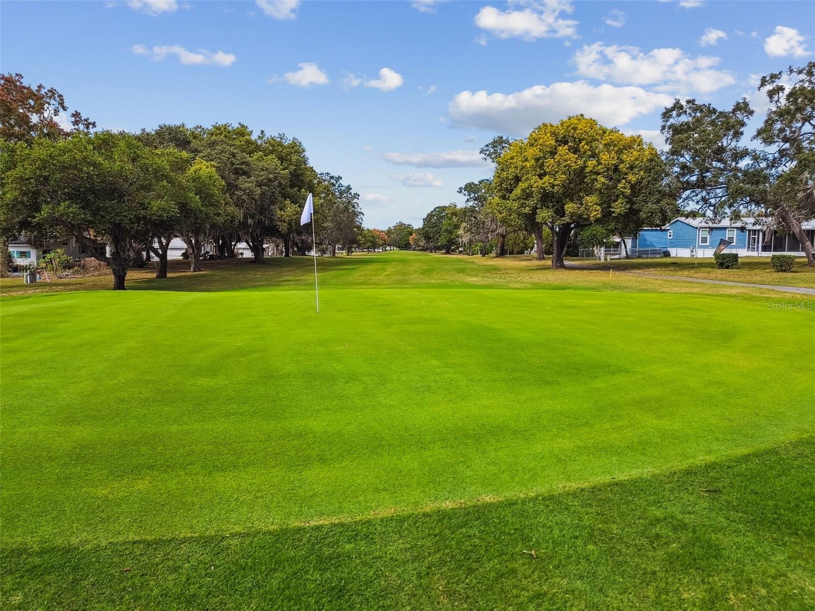 Image 74 of 86 For 8043 Little Tee Lane