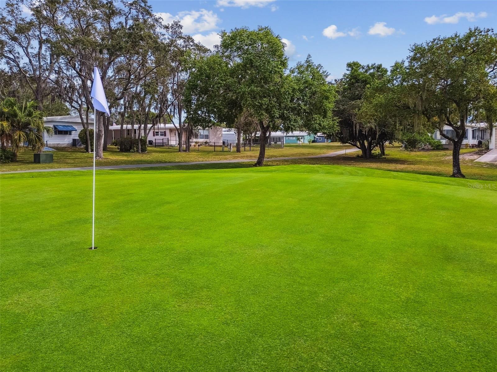 Image 75 of 86 For 8043 Little Tee Lane