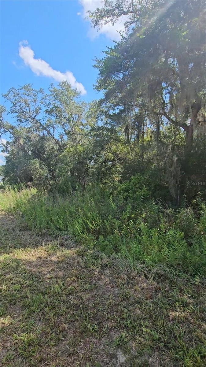 Details for 00 92nd Lane, OCALA, FL 34476