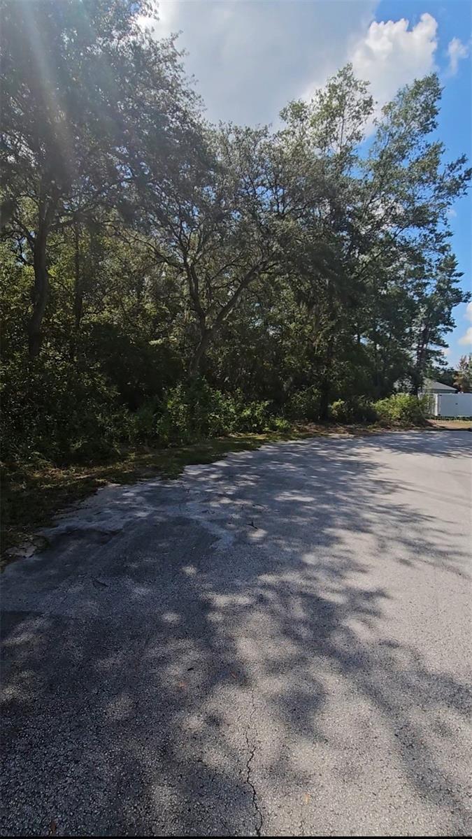 Image 3 of 4 For 00 92nd Lane