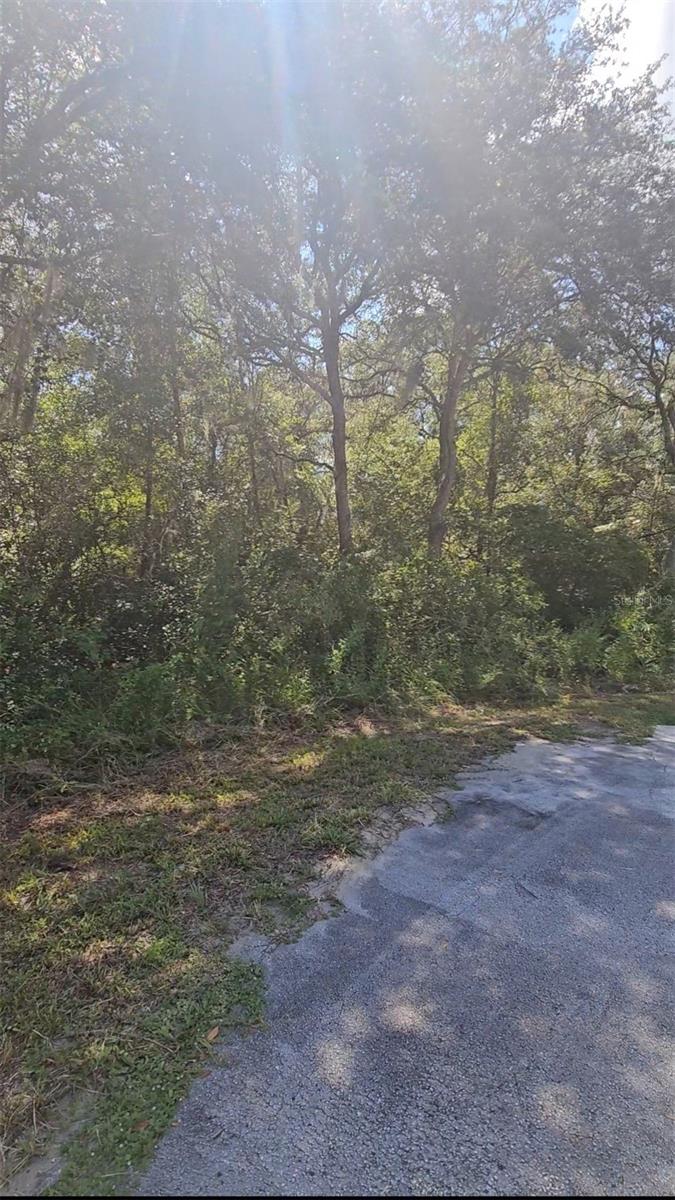 Image 4 of 4 For 00 92nd Lane