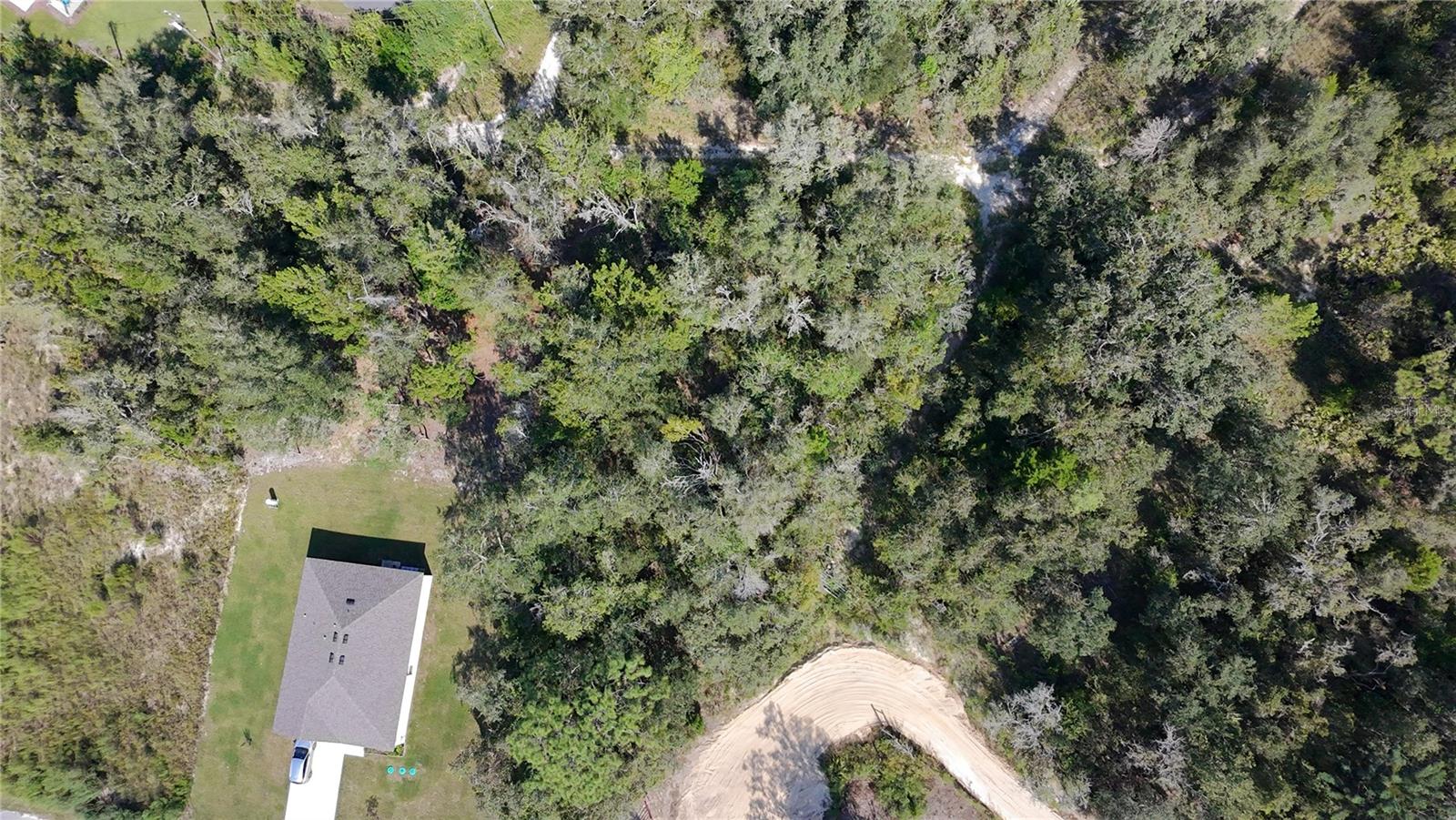 Image 11 of 19 For 13081 Hornbill Road