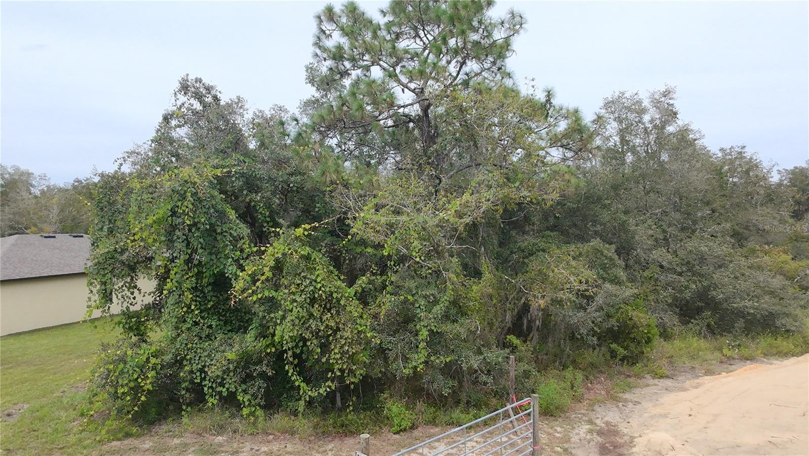 Image 17 of 19 For 13081 Hornbill Road