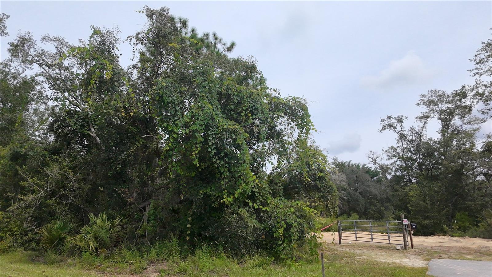 Image 18 of 19 For 13081 Hornbill Road