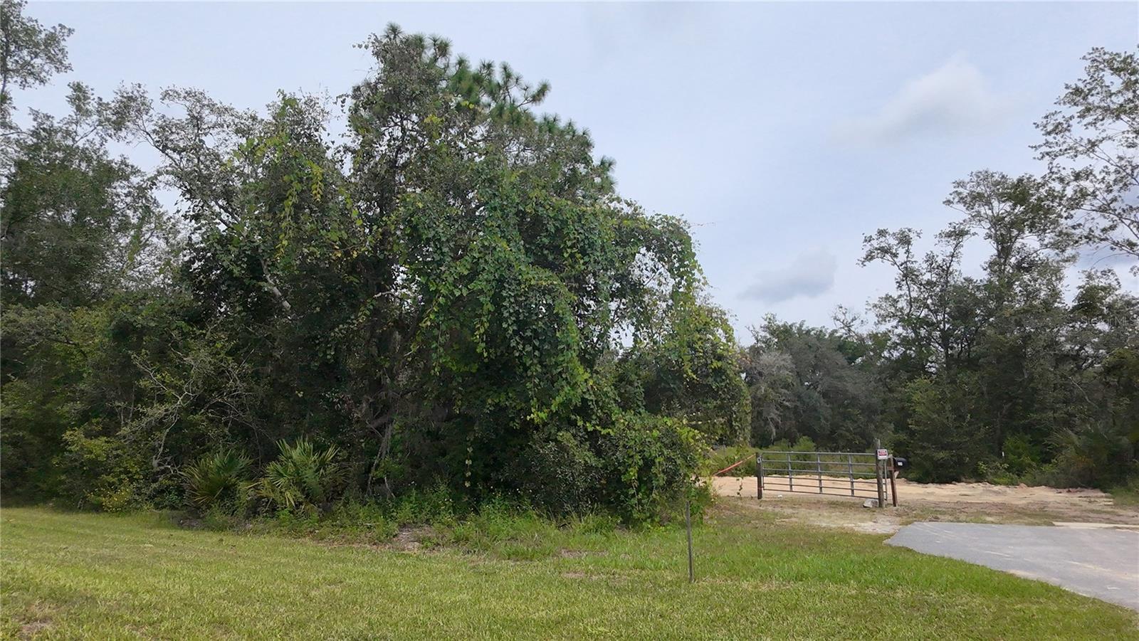 Image 19 of 19 For 13081 Hornbill Road