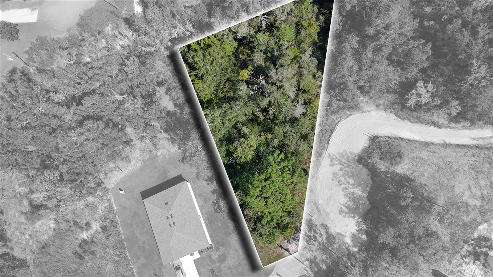 Image 7 of 19 For 13081 Hornbill Road