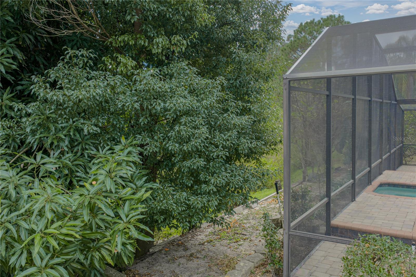 Image 85 of 92 For 1615 Lady Bowers Trail