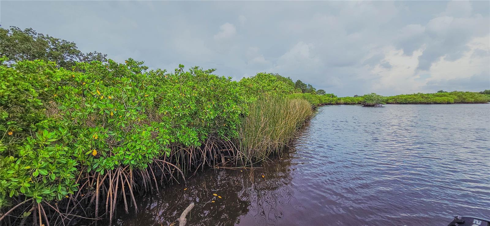 Image 69 of 74 For 1725 River Watch Boulevard