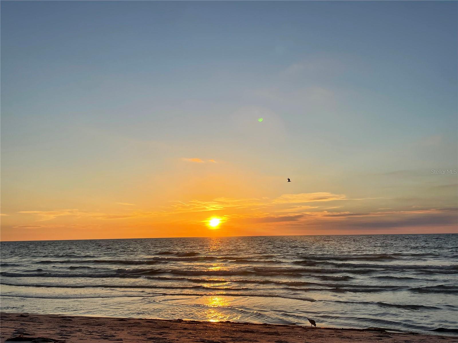 Image 27 of 29 For 1290 Gulf Boulevard 307