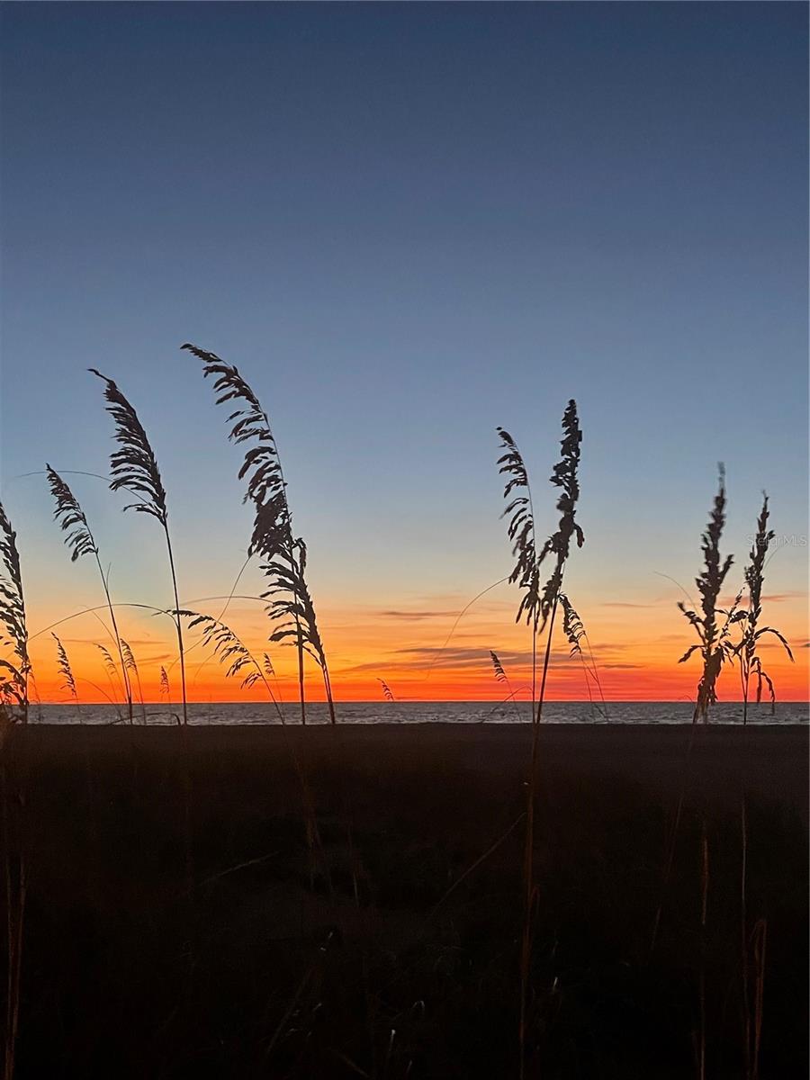 Image 29 of 29 For 1290 Gulf Boulevard 307