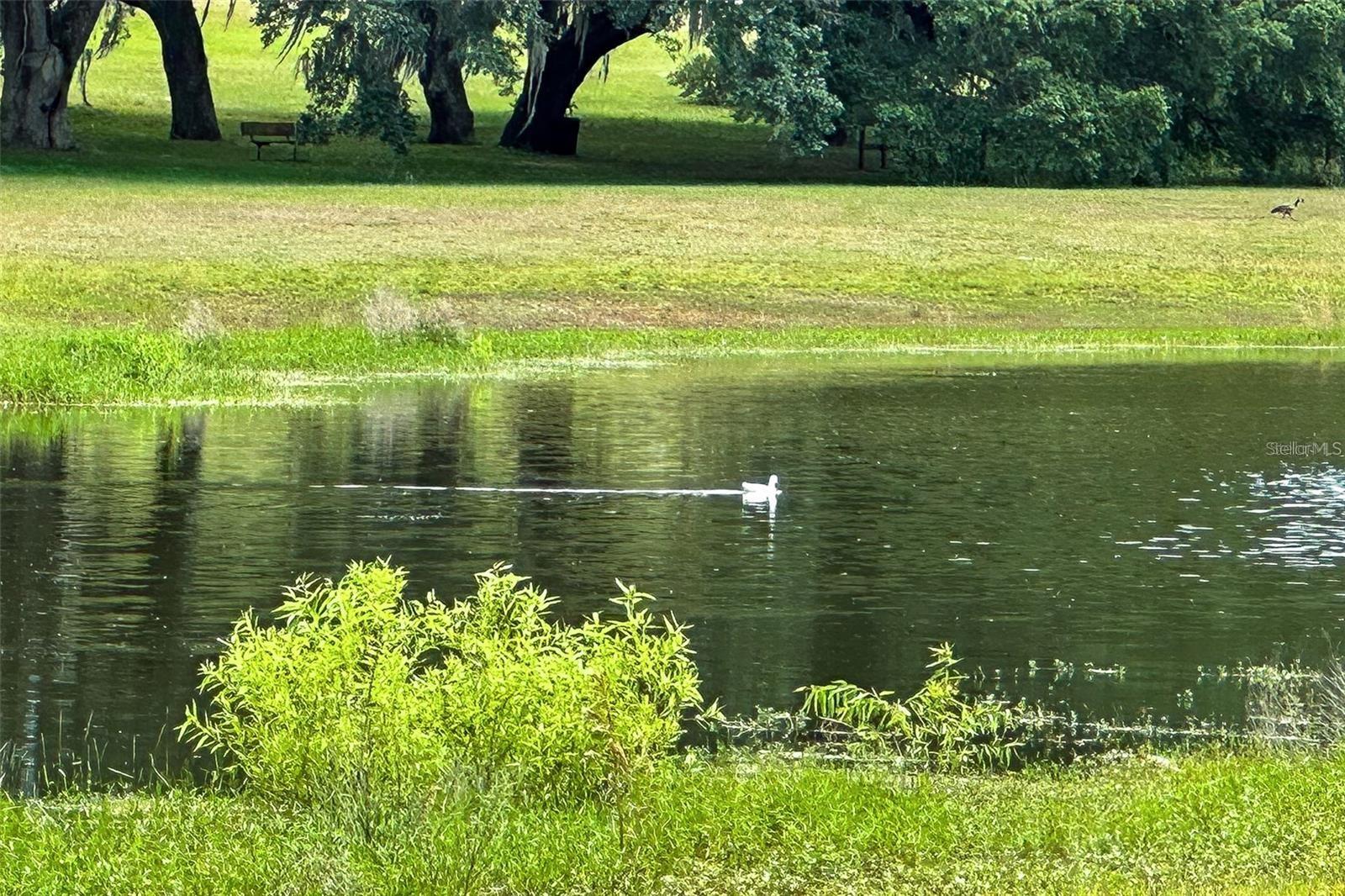 Image 27 of 38 For 13881 105 Place