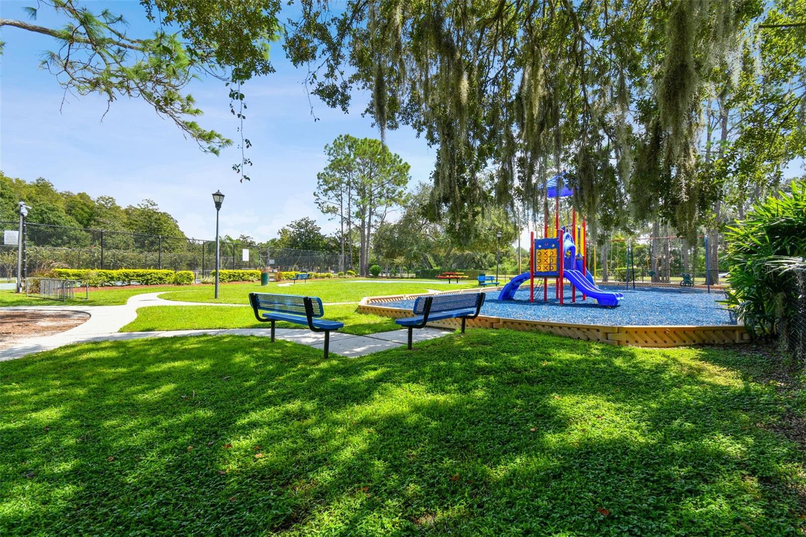 Image 52 of 57 For 9210 Dayflower Drive