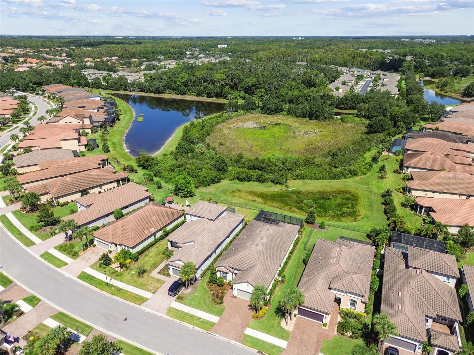 Image 55 of 70 For 8548 Grand Alberato Road
