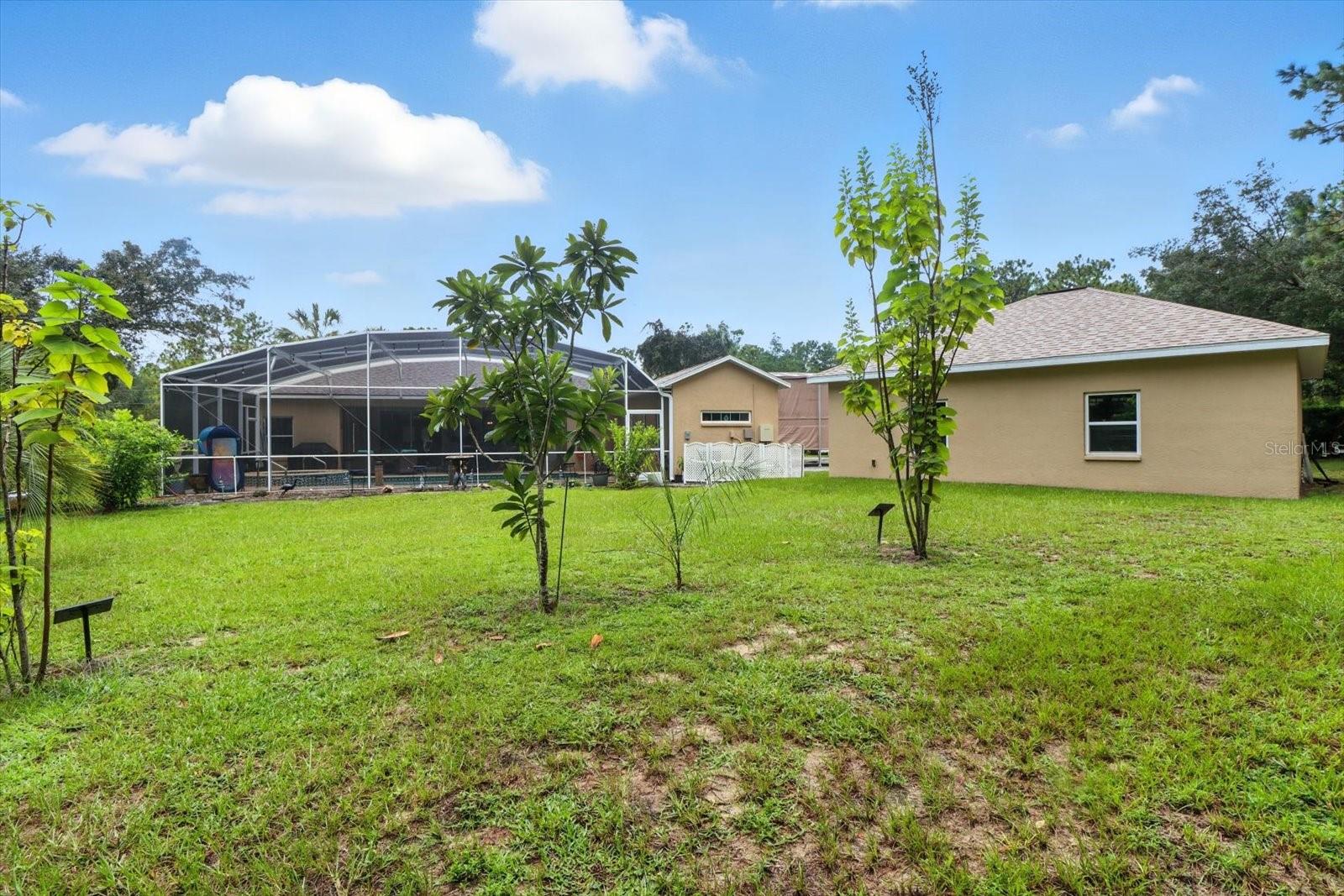 Listing photo id 38 for 5245 Allamandra Drive
