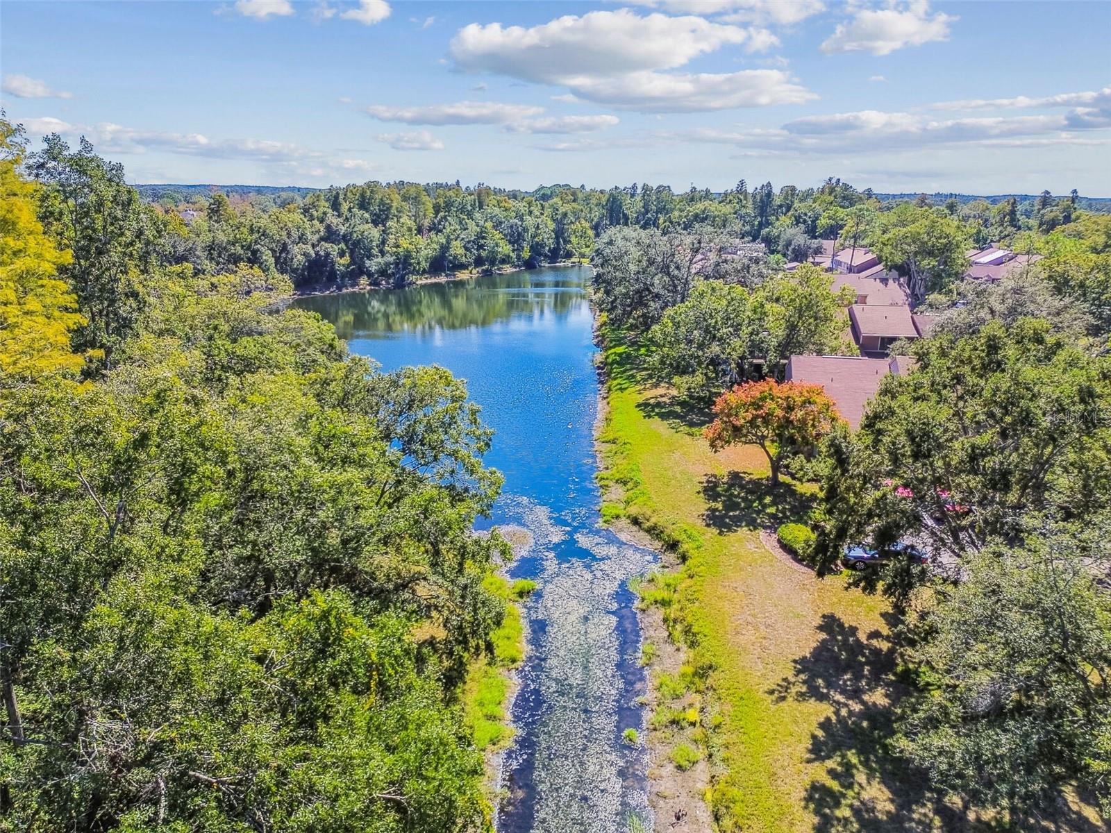 Image 48 of 57 For 14203 Wellesley Drive