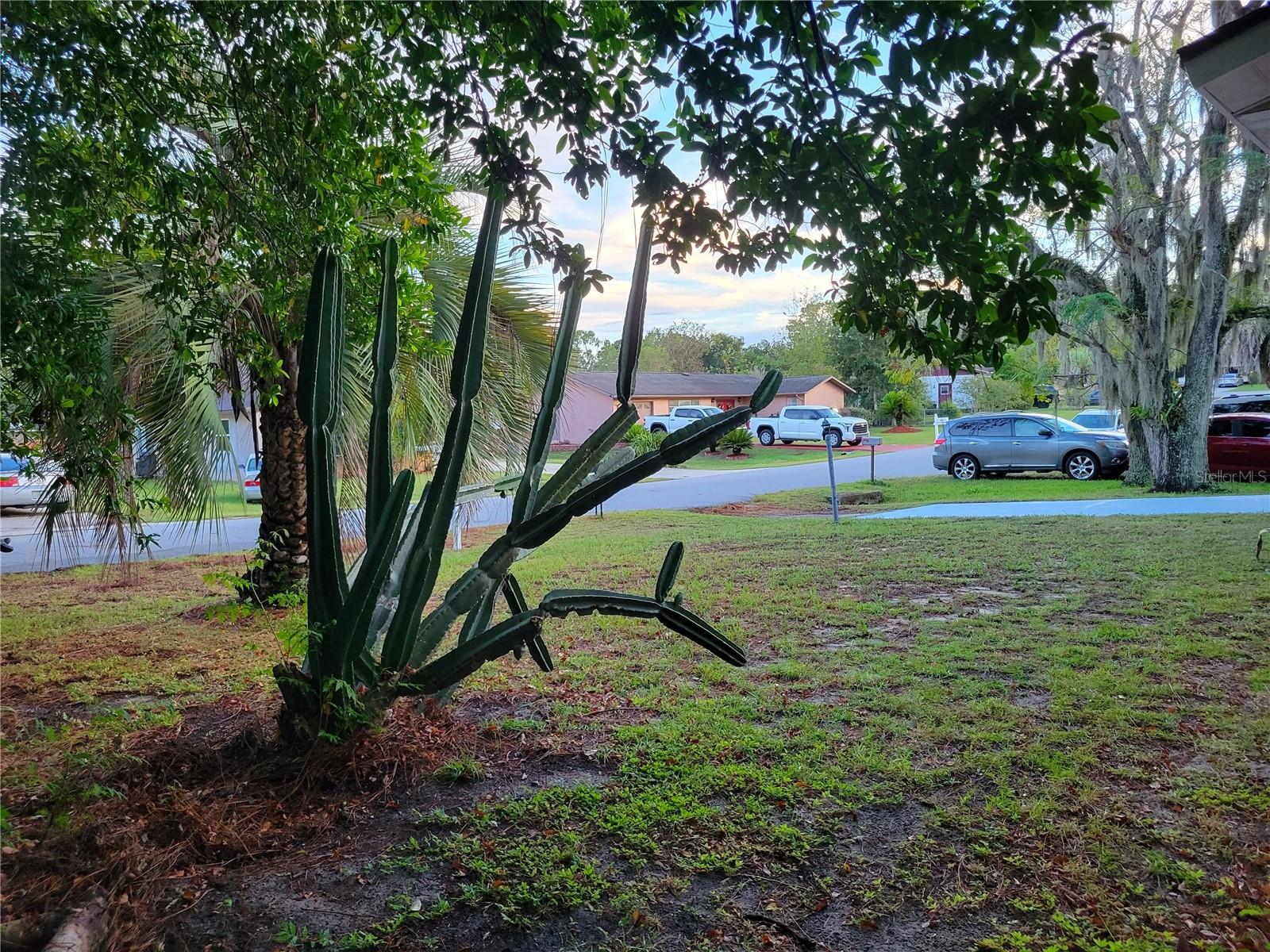 Image 40 of 40 For 516 Bahia Track Run