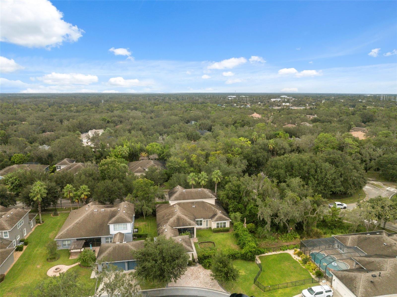 Image 67 of 81 For 5906 Fishhawk Crossing Boulevard