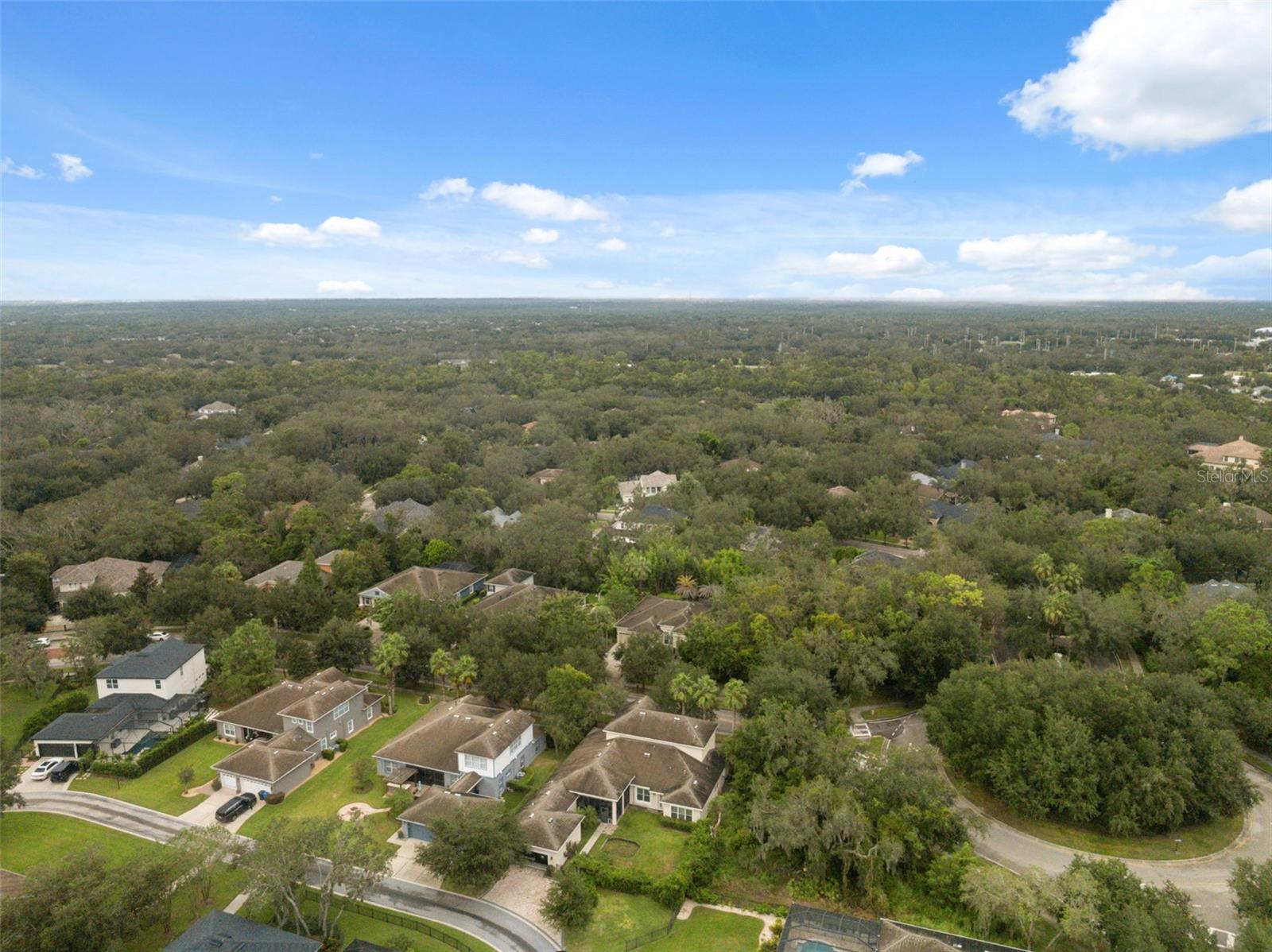 Image 68 of 81 For 5906 Fishhawk Crossing Boulevard