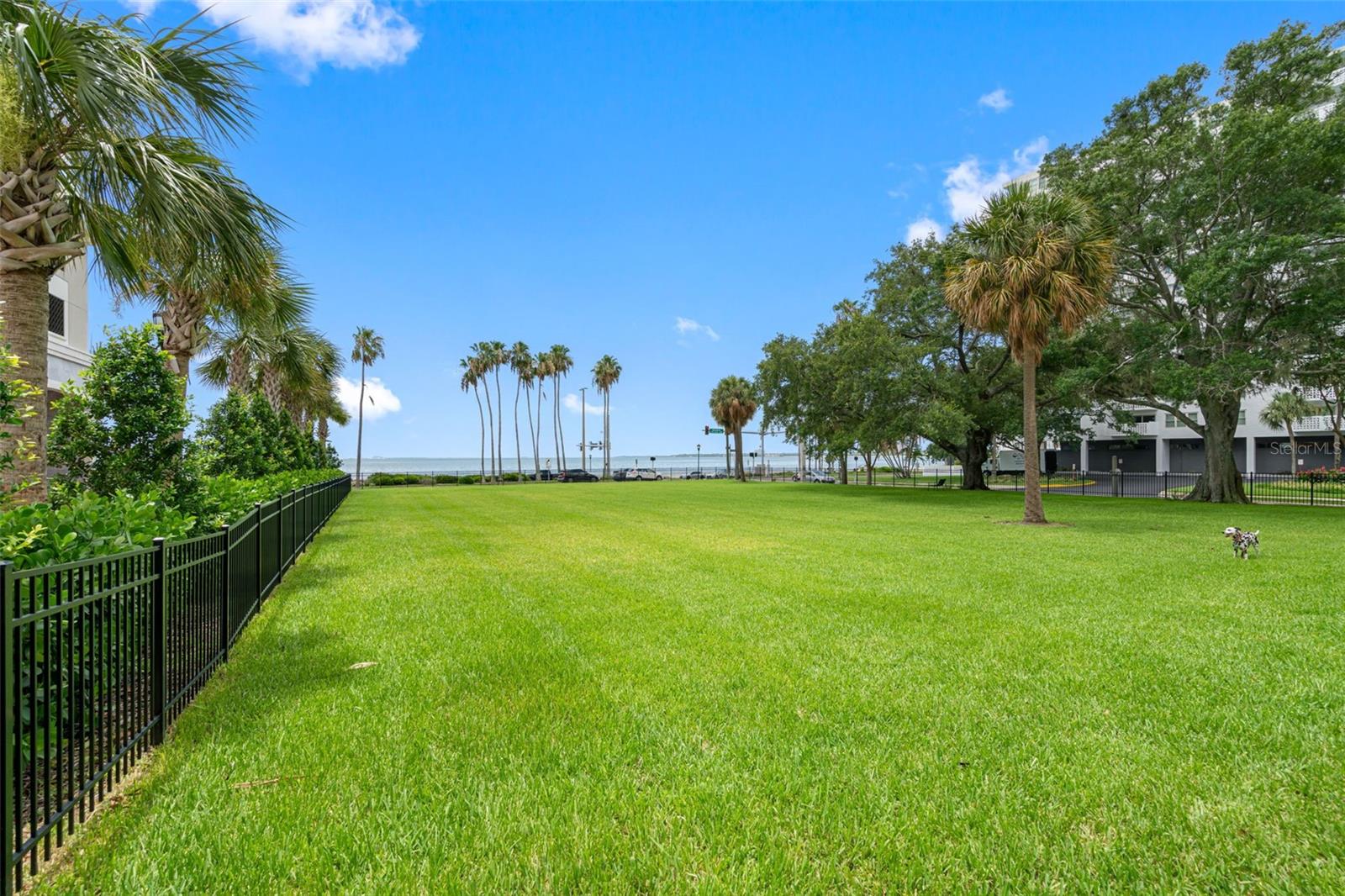 Image 8 of 50 For 2109 Bayshore Boulevard 102