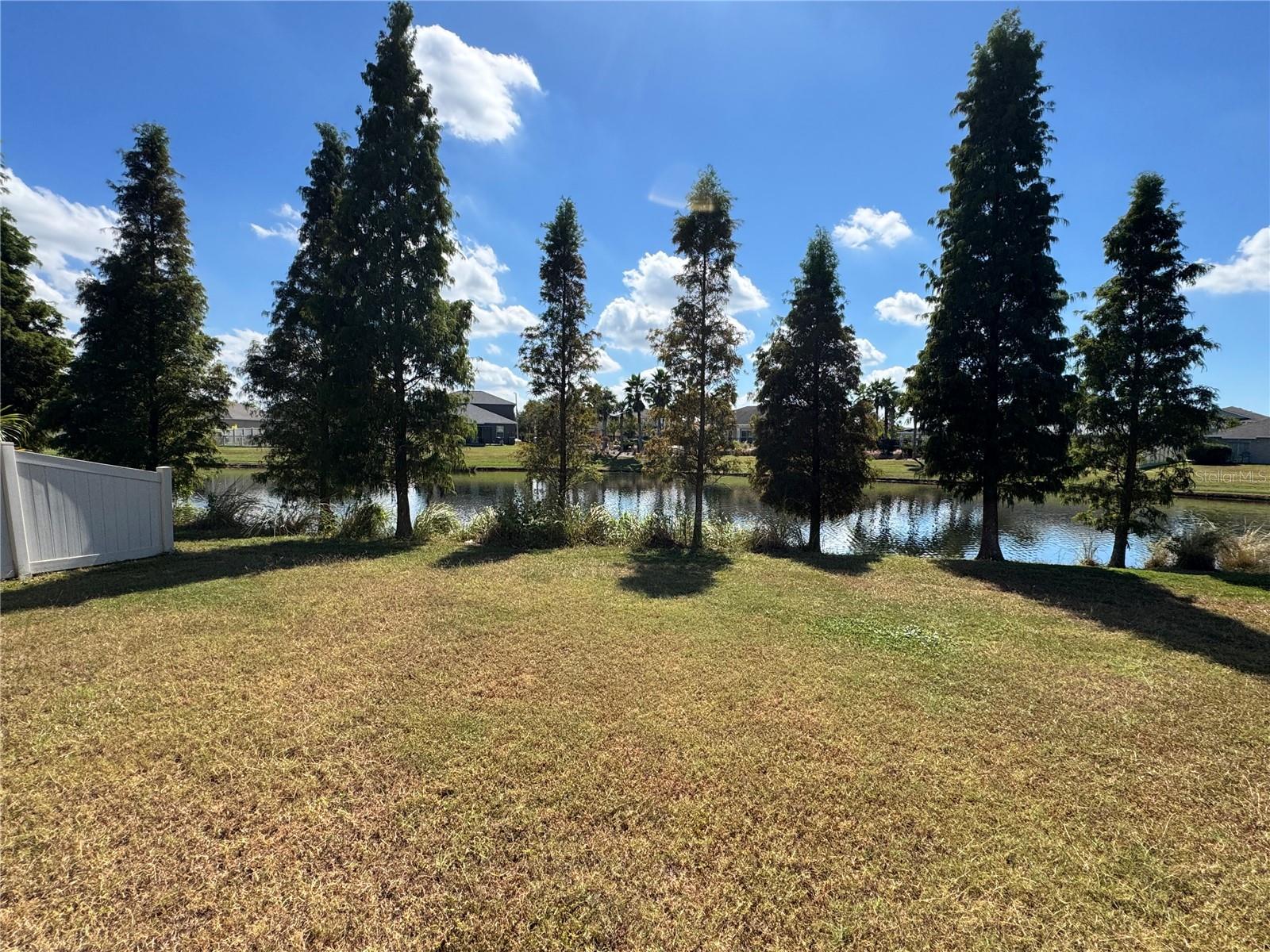 Image 32 of 32 For 10021 Crested Fringe Drive