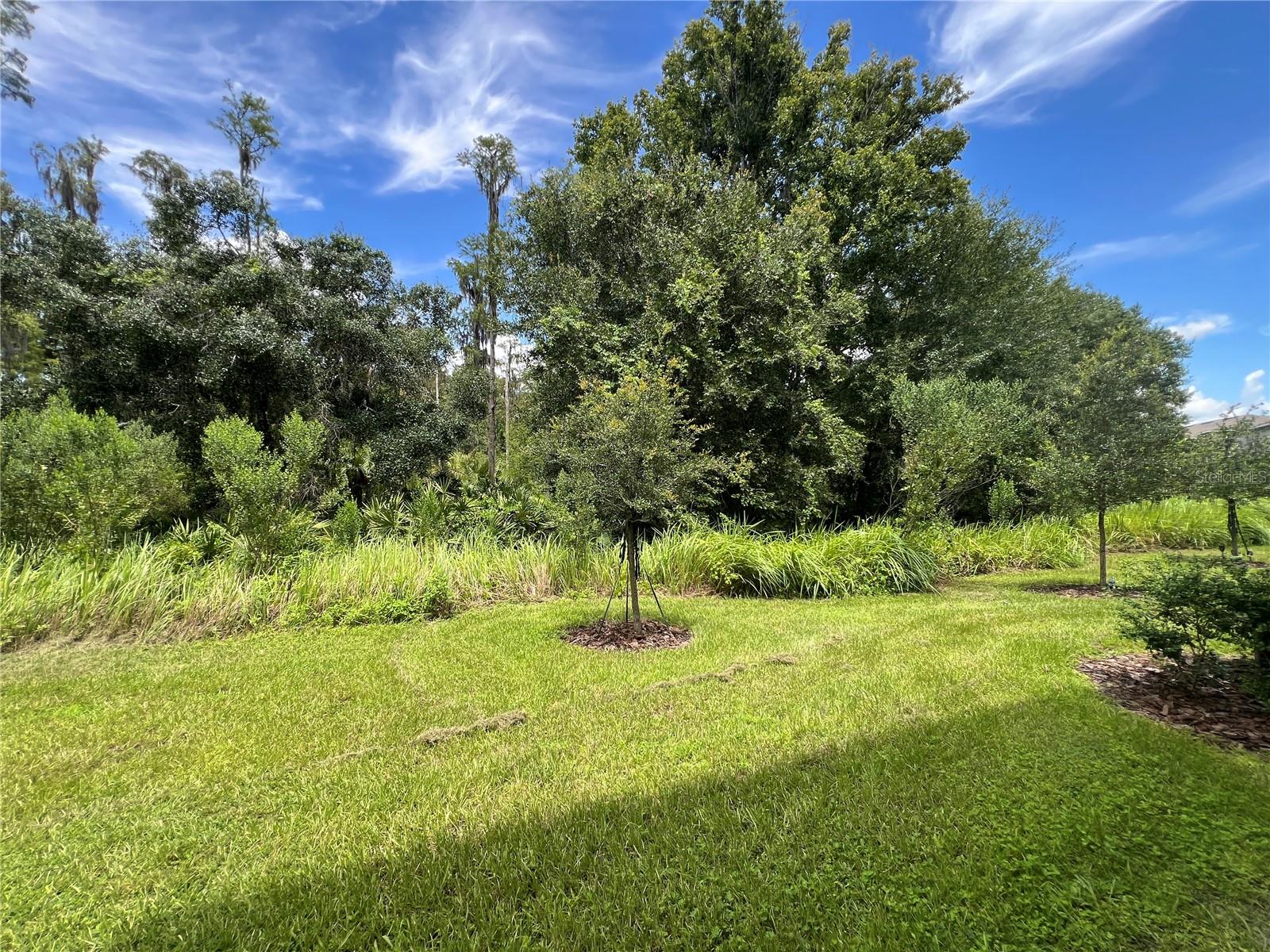 Image 30 of 30 For 32817 Pez Landing Lane