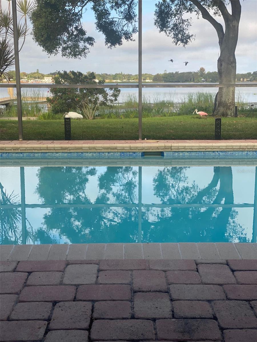 Image 56 of 63 For 11314 Harborside Drive