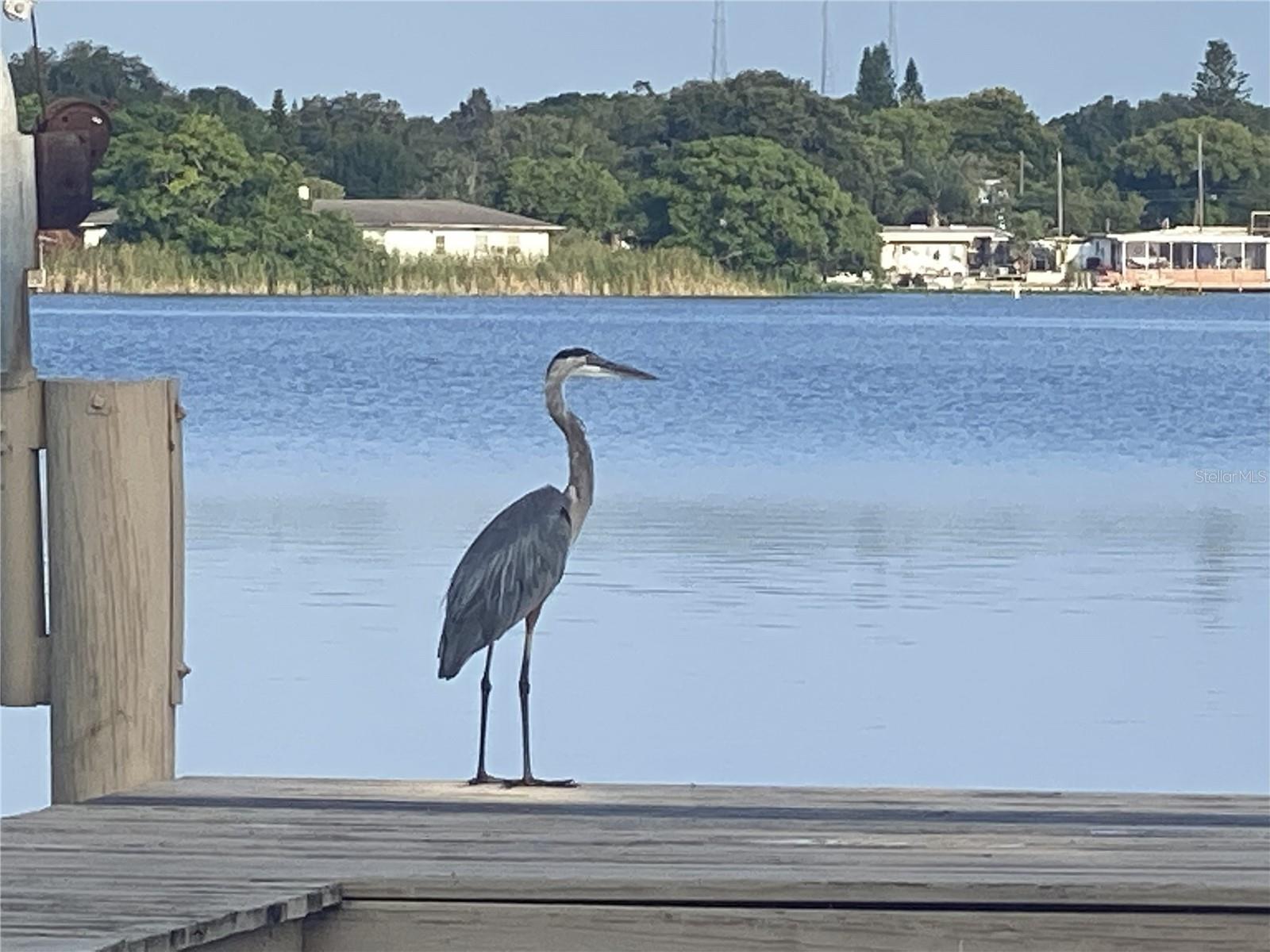 Image 60 of 63 For 11314 Harborside Drive