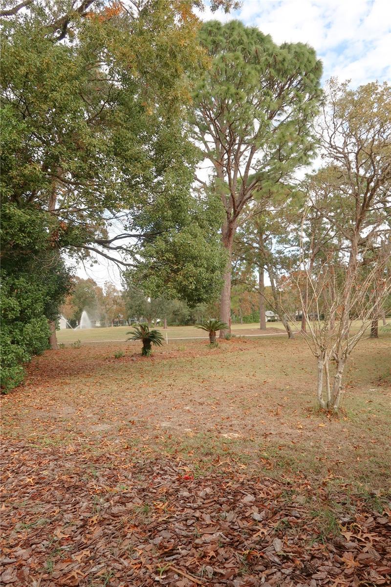 Listing photo id 27 for 44 Golfview Court