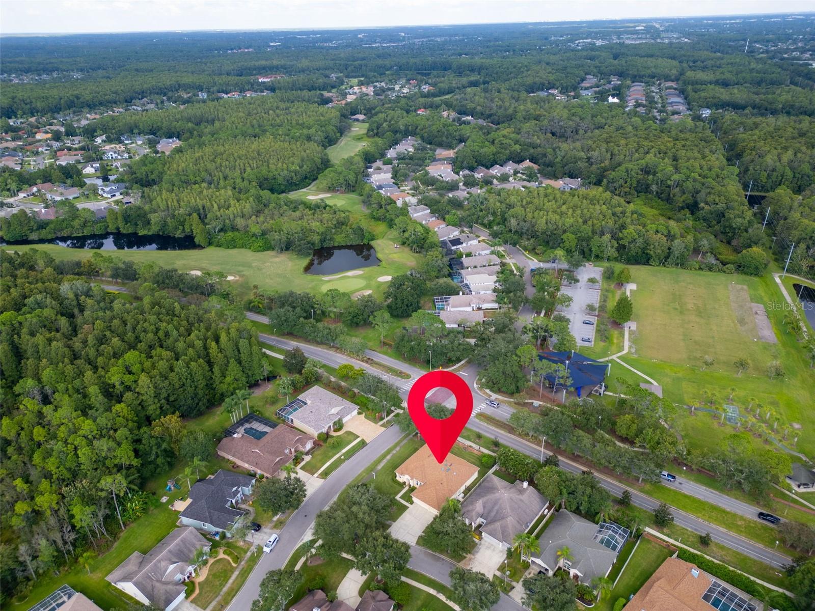 Image 55 of 59 For 12302 Seabrook Drive