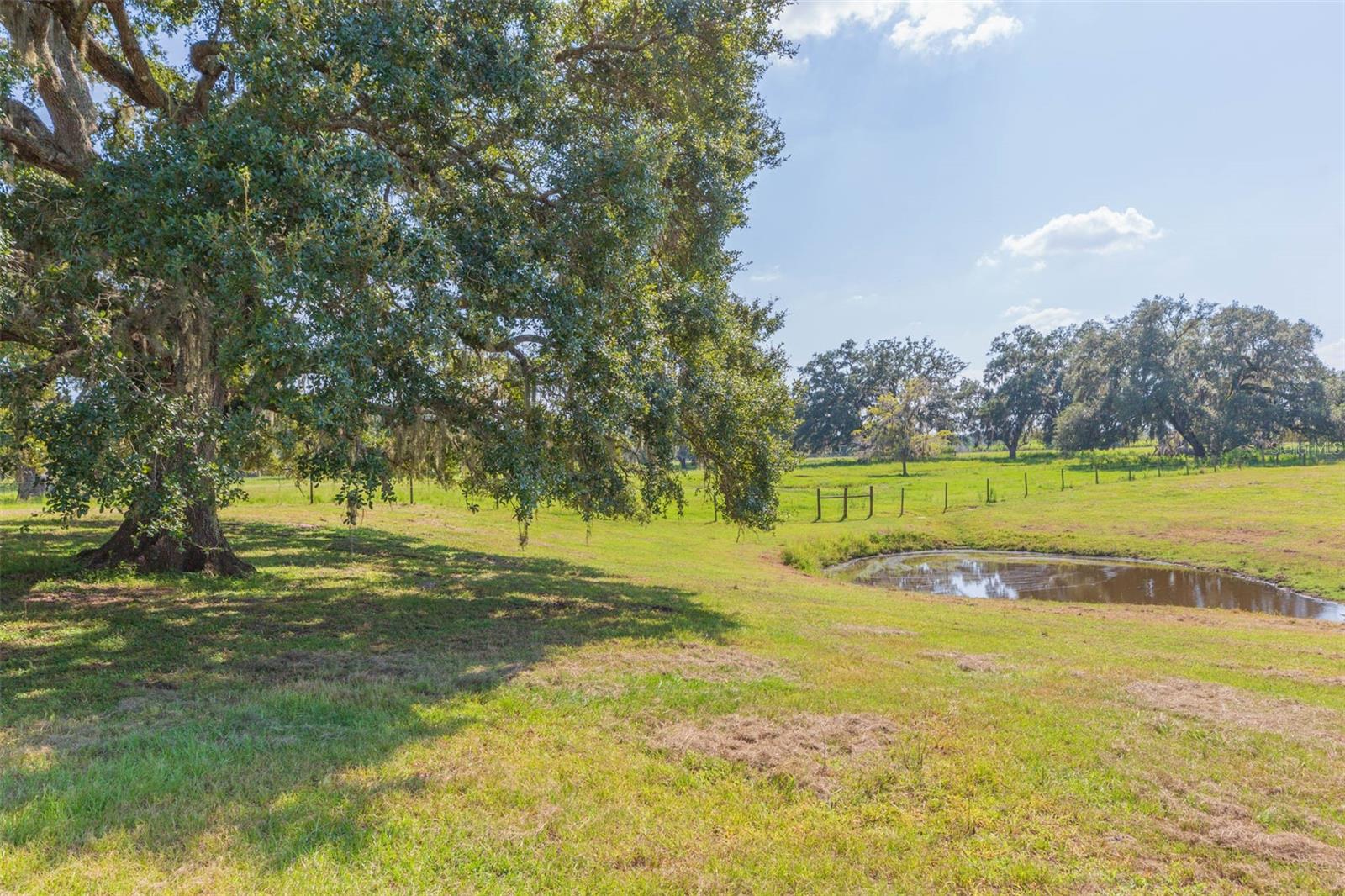 Image 10 of 83 For 16225 Bellamy Brothers Boulevard