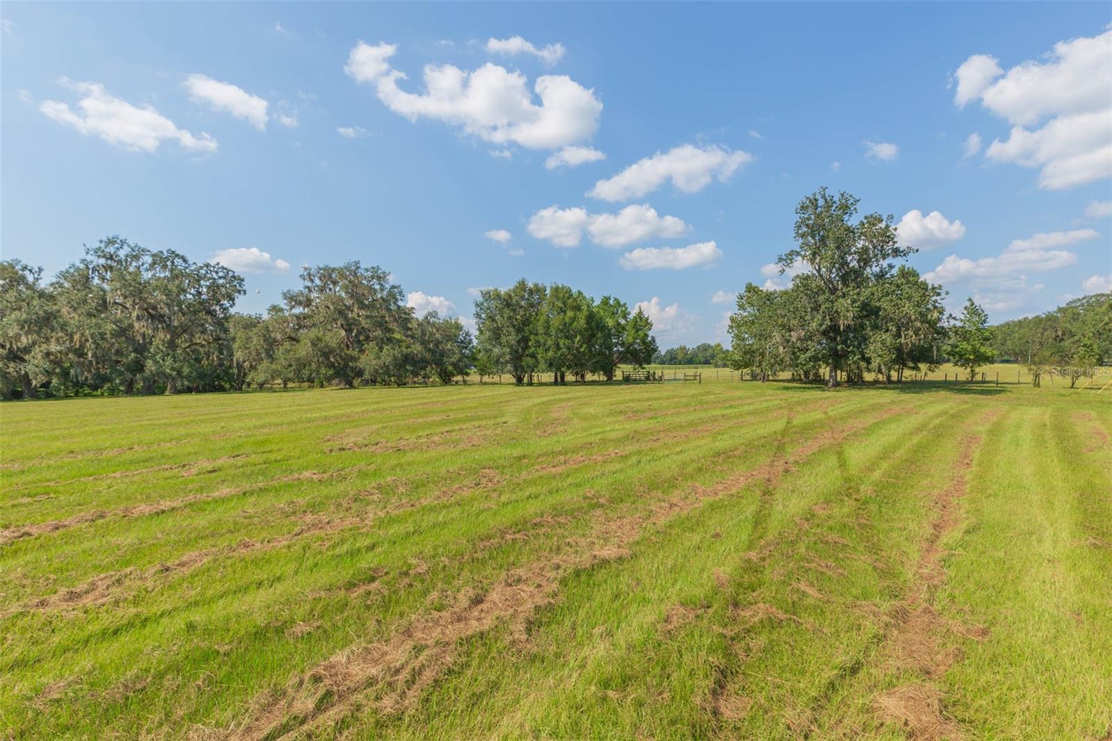 Image 12 of 83 For 16225 Bellamy Brothers Boulevard