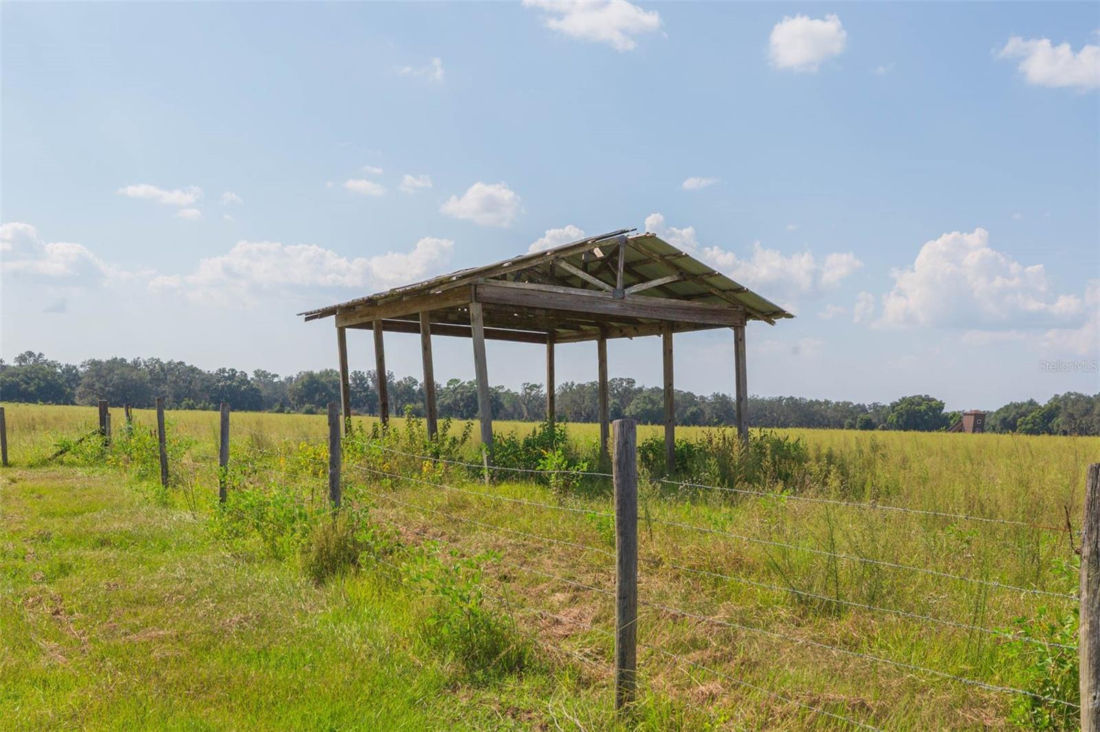 Image 13 of 83 For 16225 Bellamy Brothers Boulevard