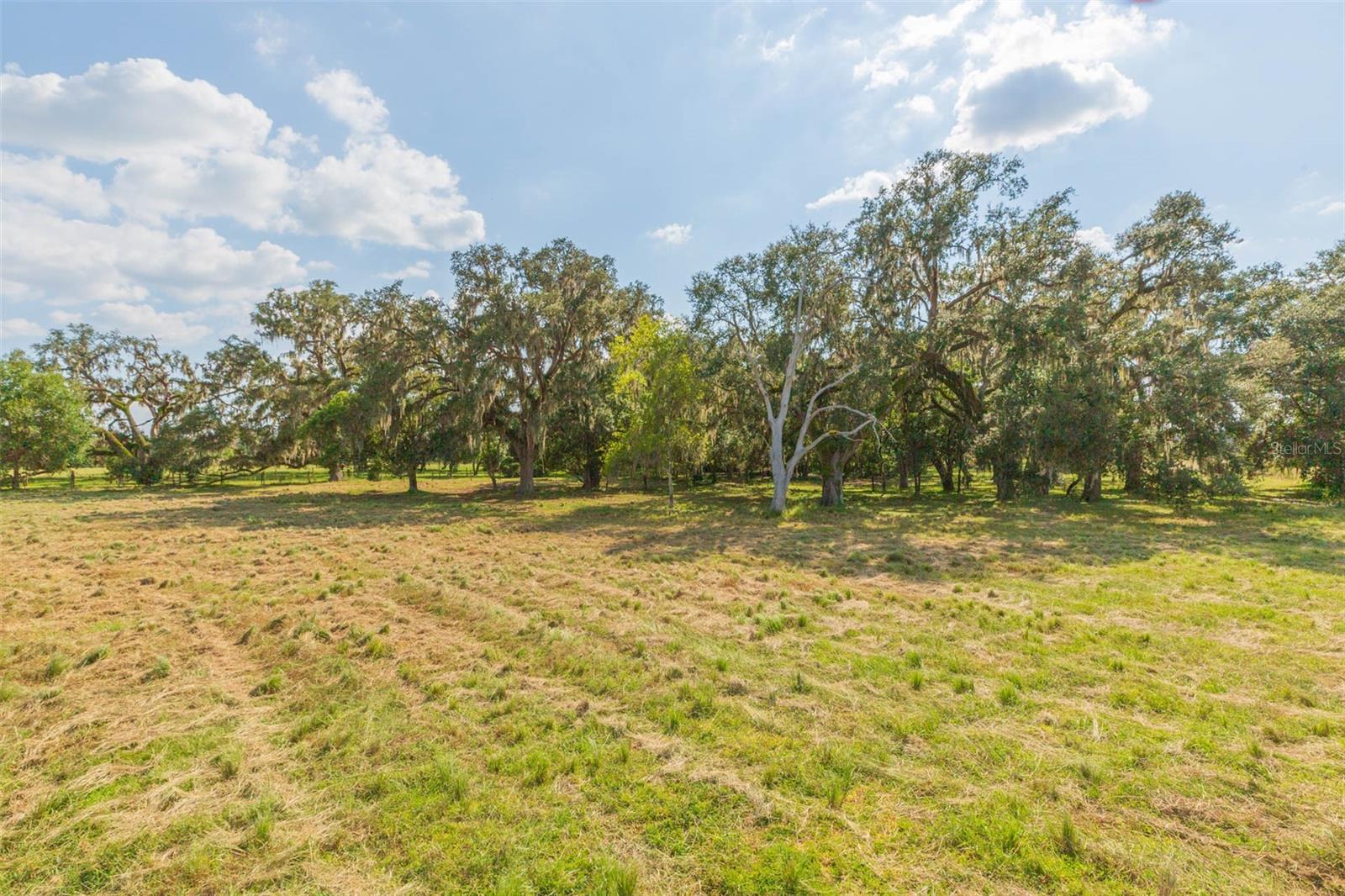Image 14 of 83 For 16225 Bellamy Brothers Boulevard