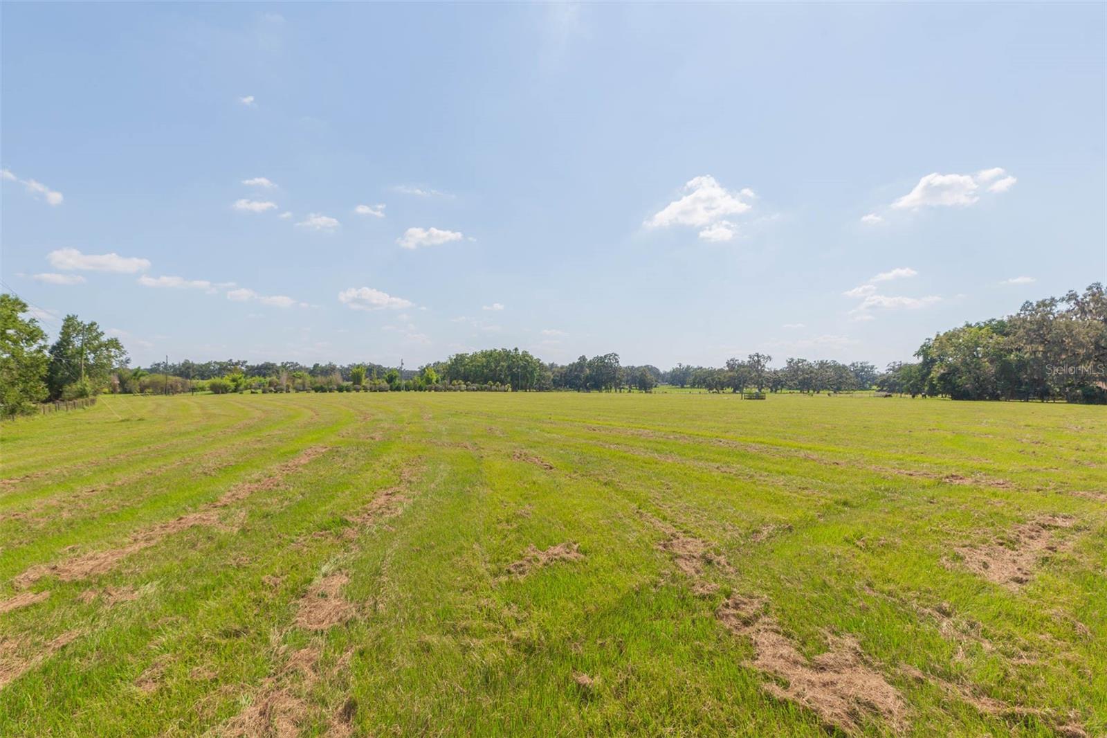 Image 15 of 83 For 16225 Bellamy Brothers Boulevard