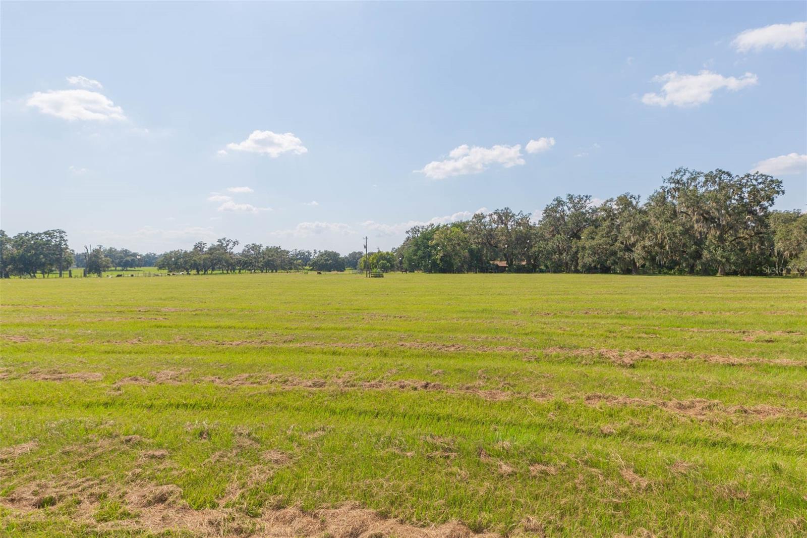 Image 16 of 83 For 16225 Bellamy Brothers Boulevard