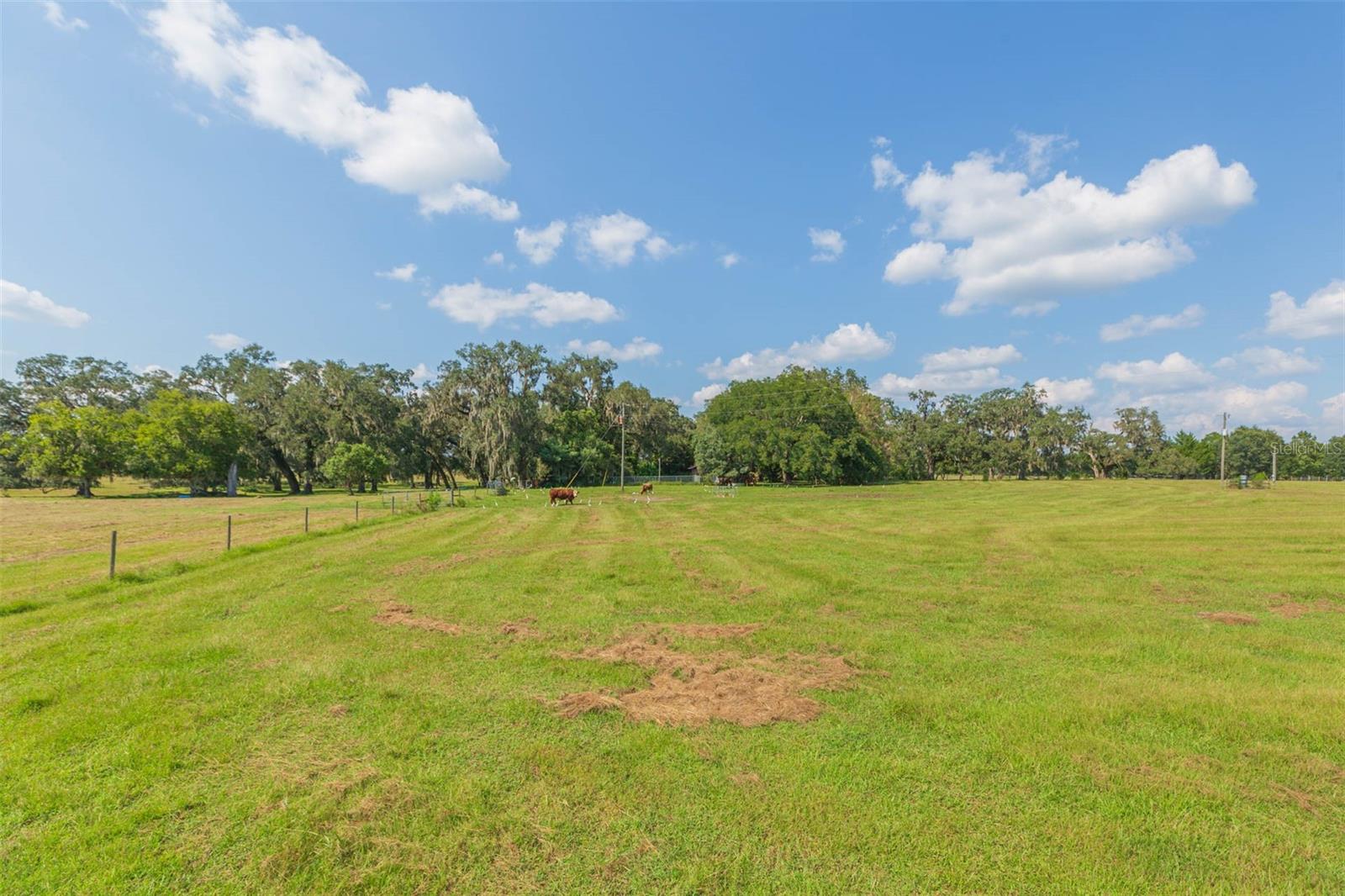 Image 17 of 83 For 16225 Bellamy Brothers Boulevard