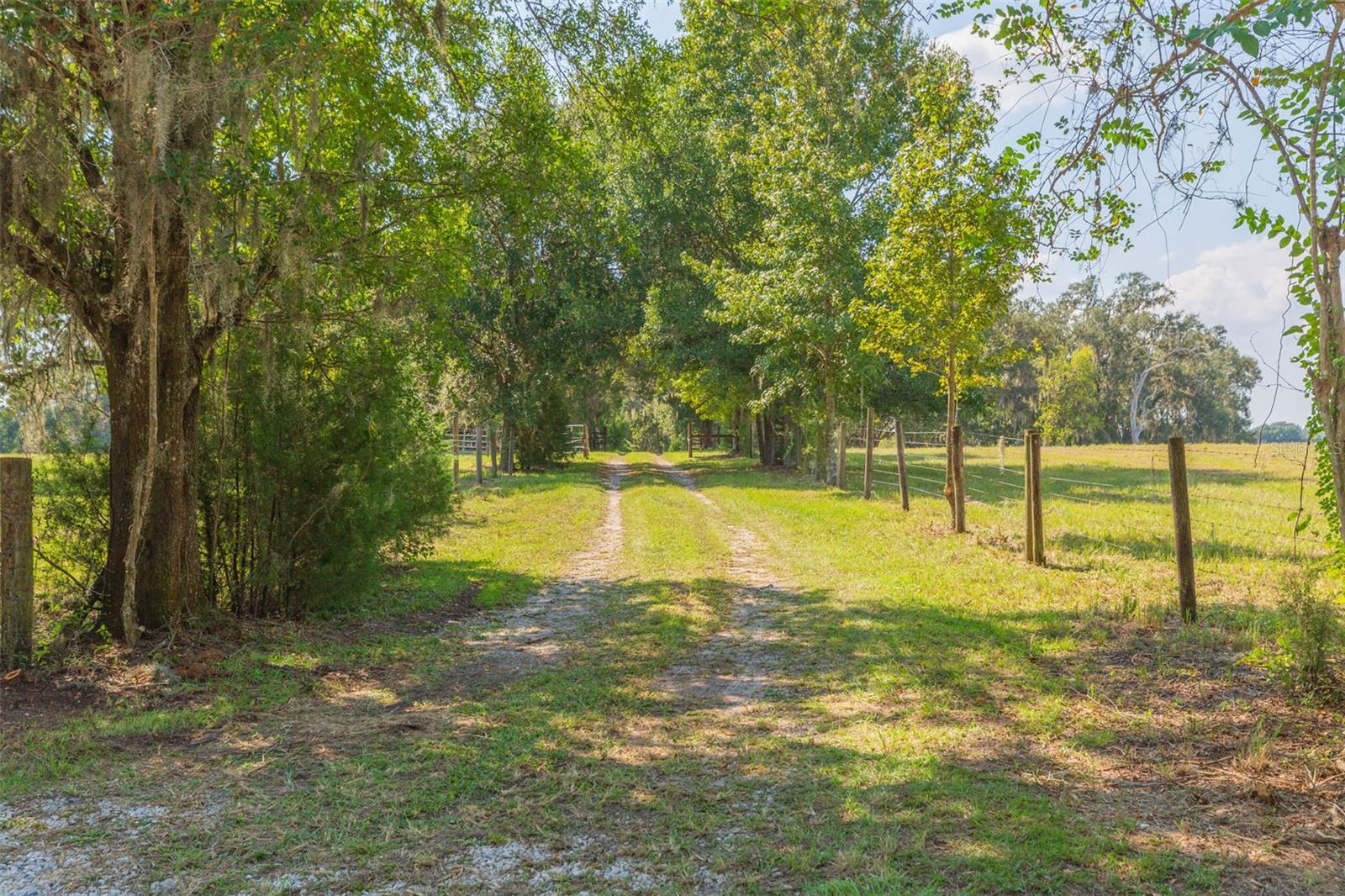 Image 57 of 83 For 16225 Bellamy Brothers Boulevard