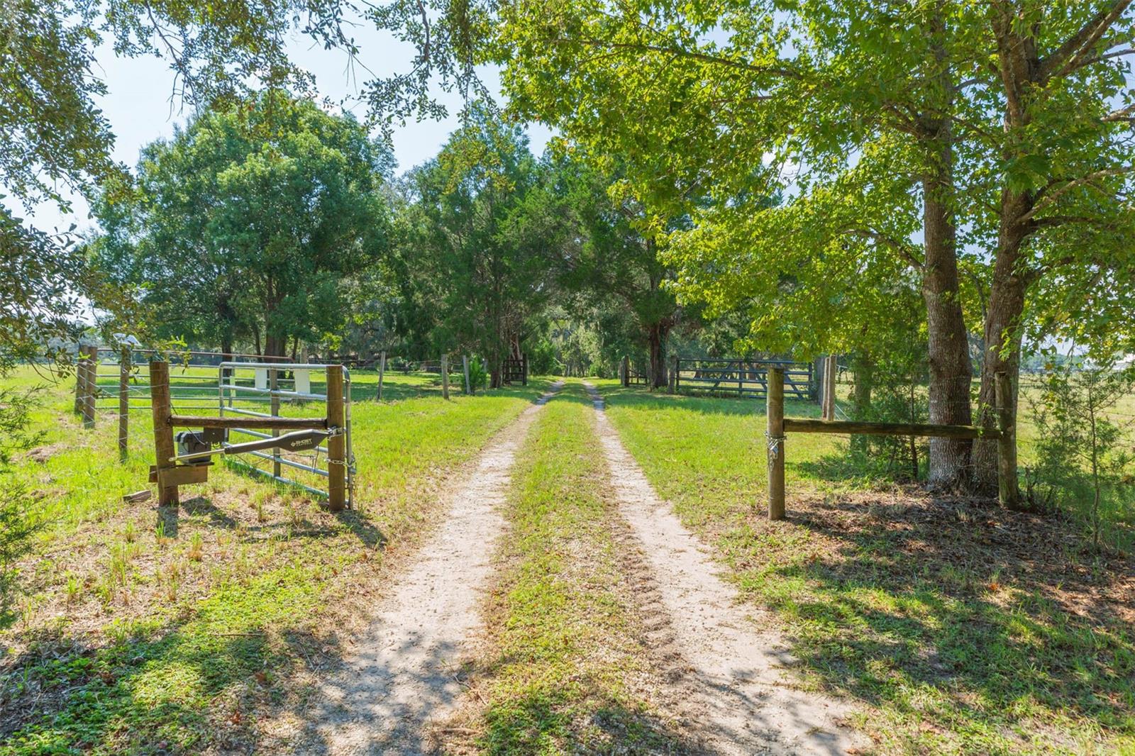 Image 58 of 83 For 16225 Bellamy Brothers Boulevard