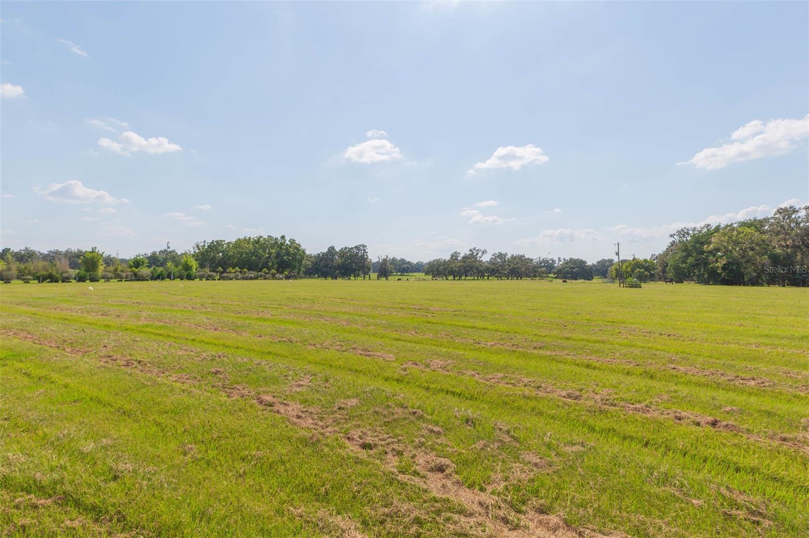 Image 59 of 83 For 16225 Bellamy Brothers Boulevard