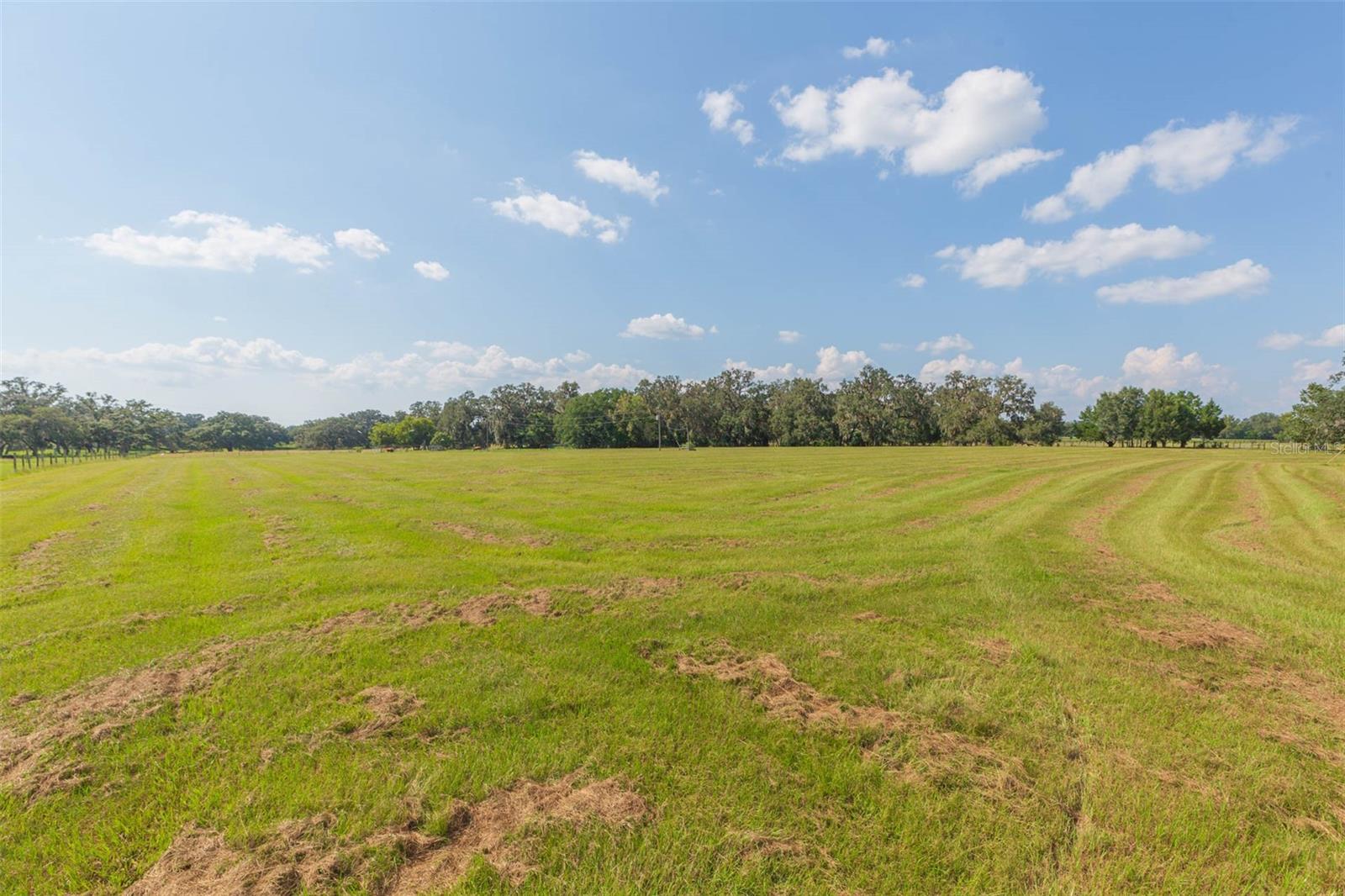 Image 60 of 83 For 16225 Bellamy Brothers Boulevard