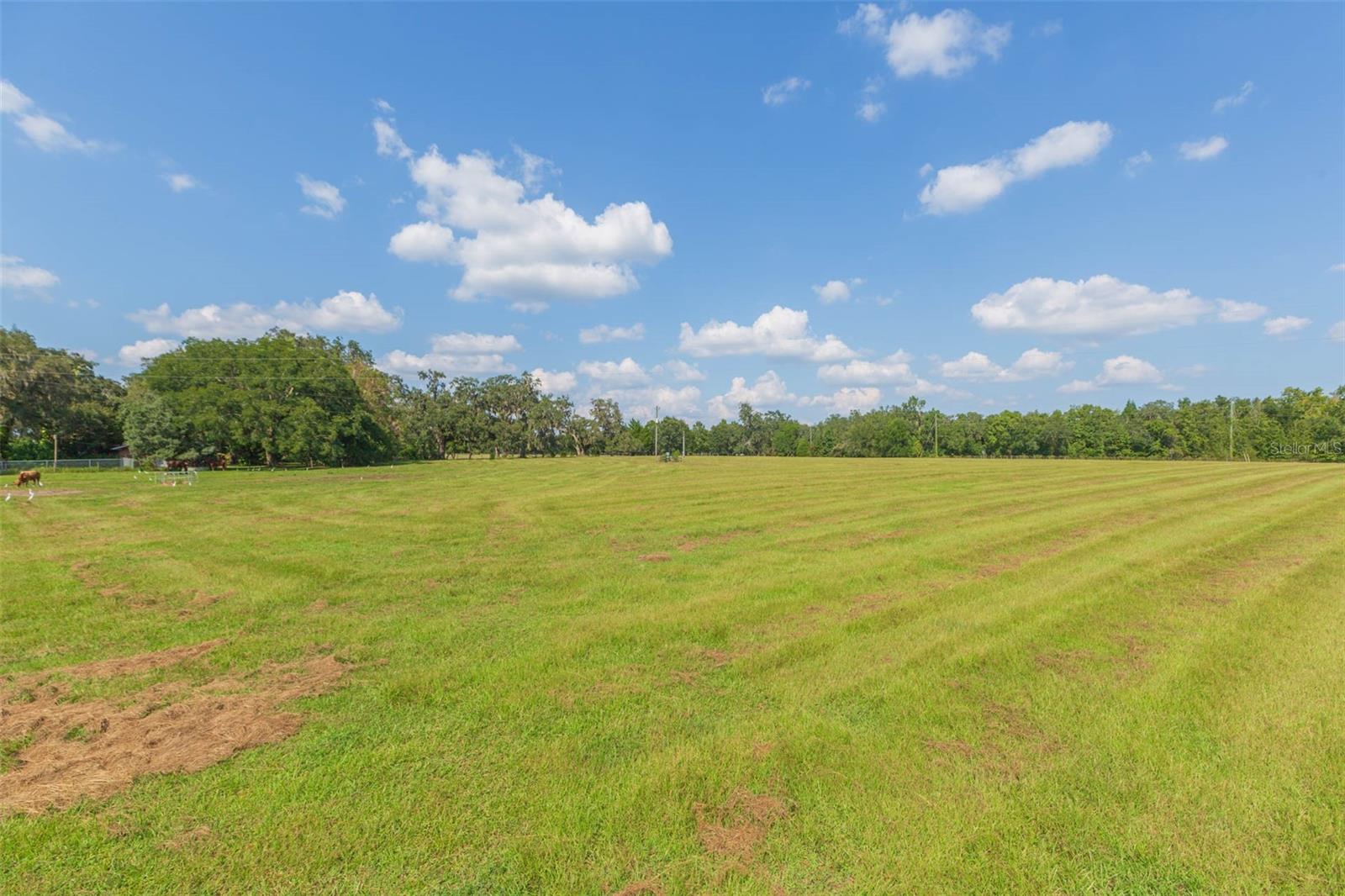 Image 61 of 83 For 16225 Bellamy Brothers Boulevard