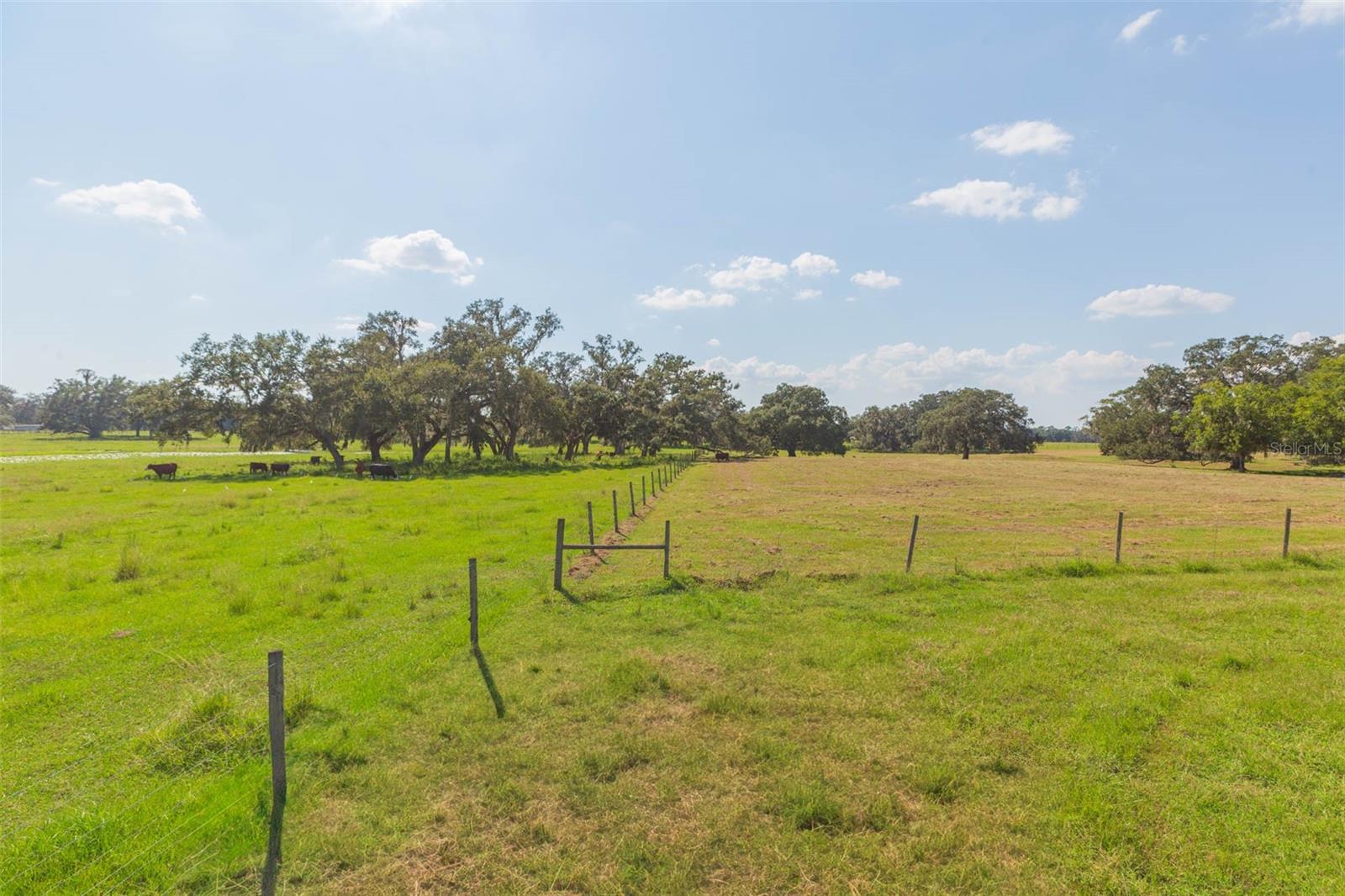 Image 62 of 83 For 16225 Bellamy Brothers Boulevard
