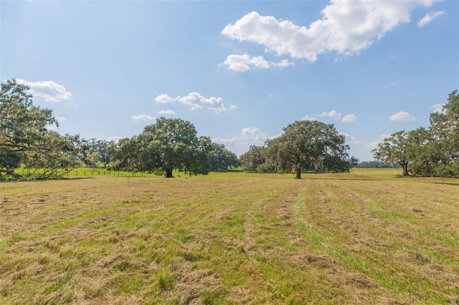 Image 63 of 83 For 16225 Bellamy Brothers Boulevard