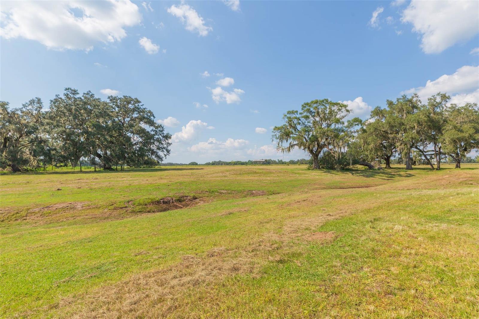 Image 64 of 83 For 16225 Bellamy Brothers Boulevard
