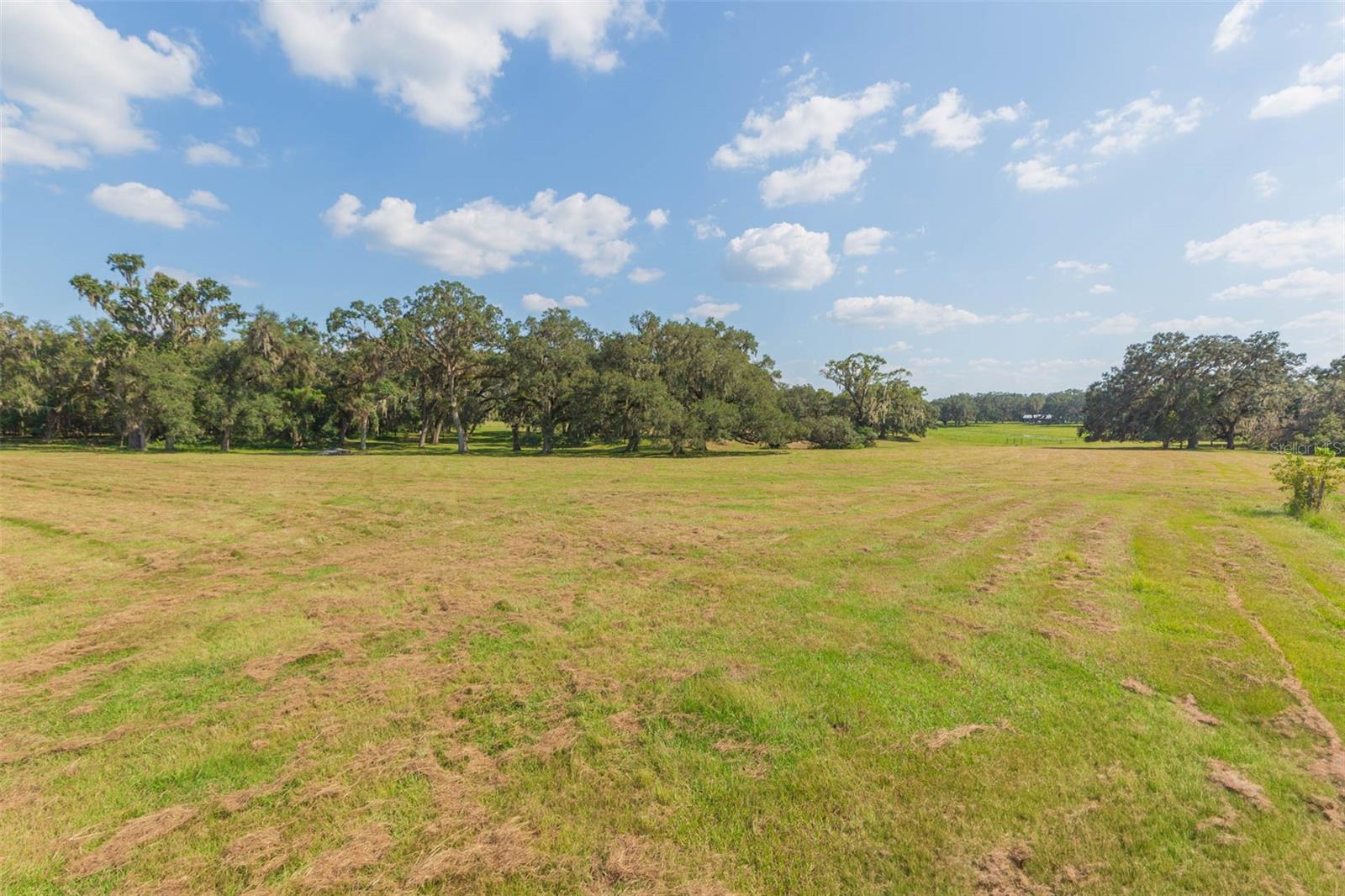 Image 65 of 83 For 16225 Bellamy Brothers Boulevard