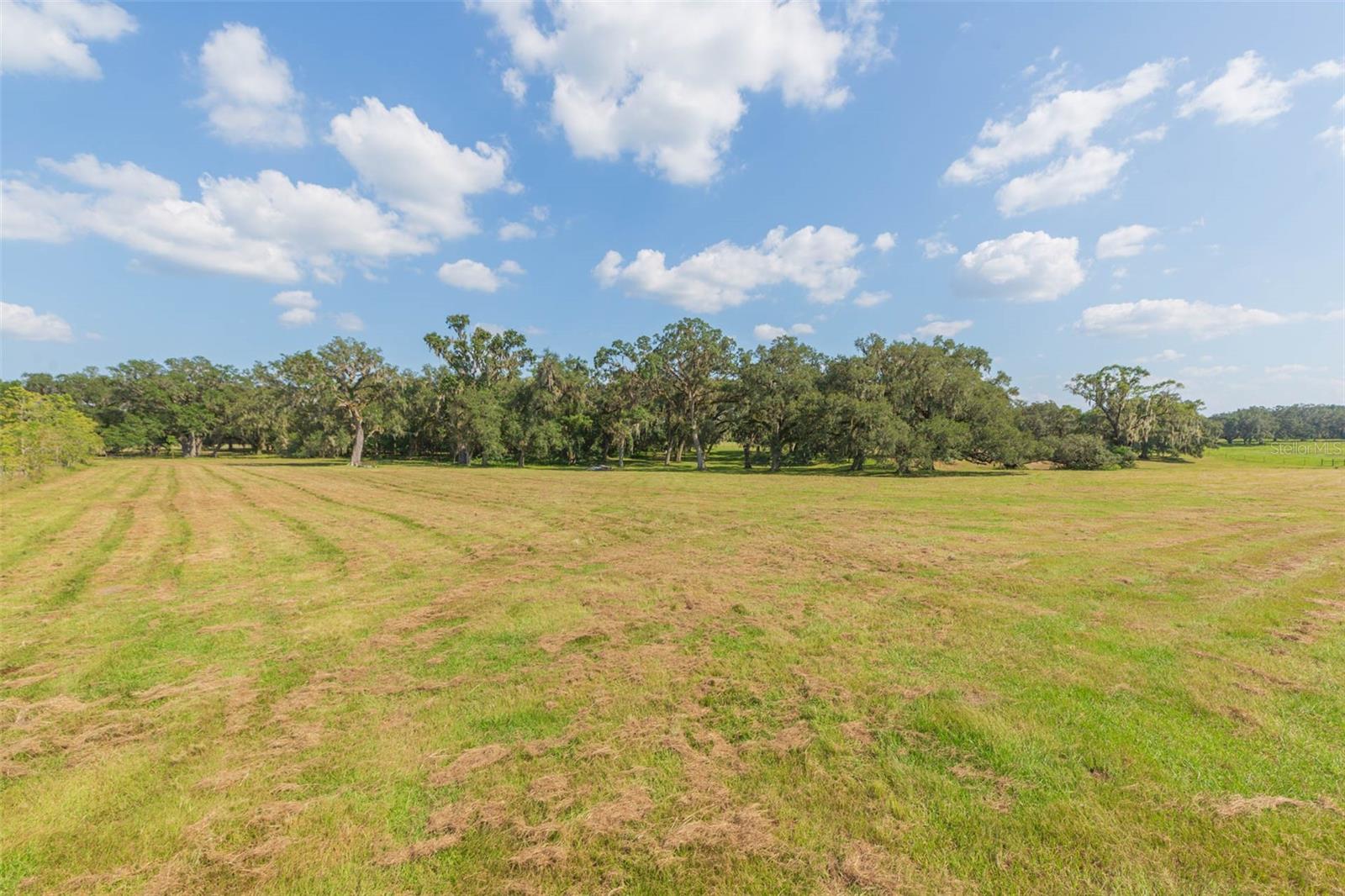 Image 66 of 83 For 16225 Bellamy Brothers Boulevard