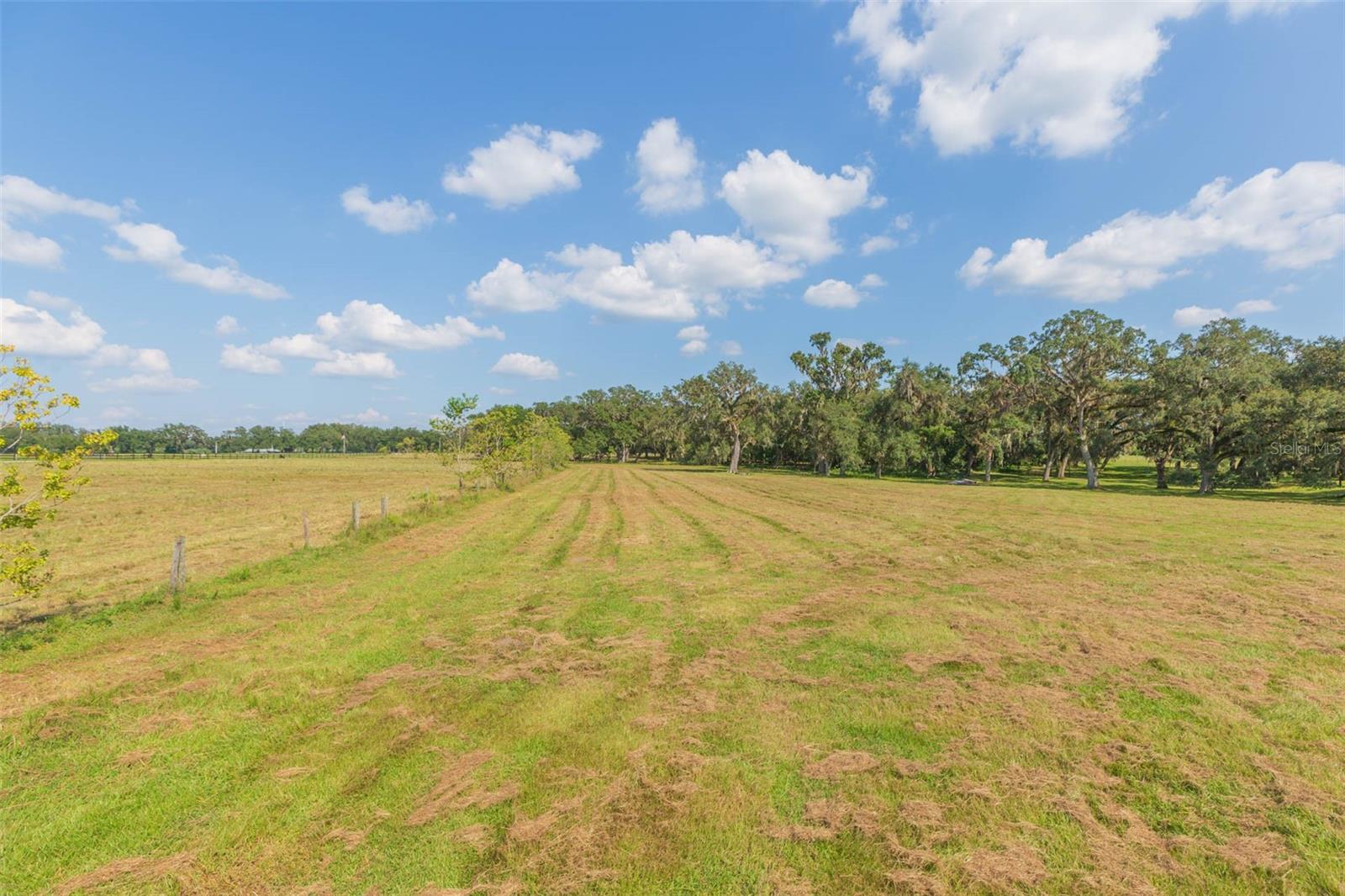Image 67 of 83 For 16225 Bellamy Brothers Boulevard
